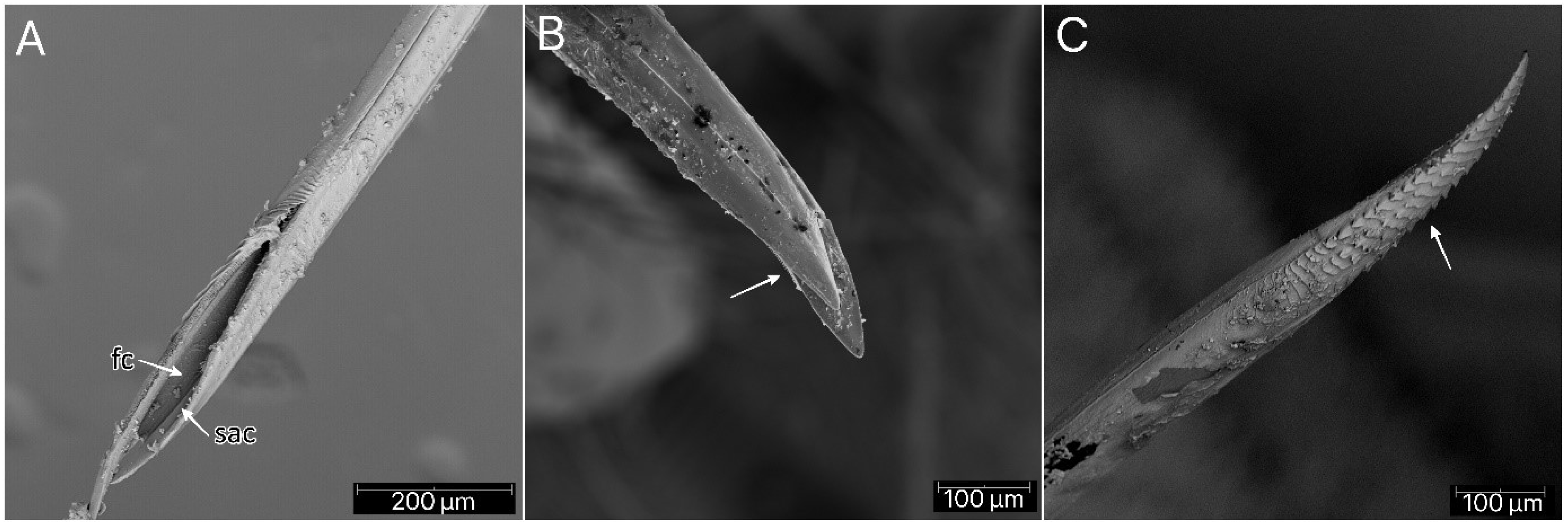 Insects 13 01014 g022