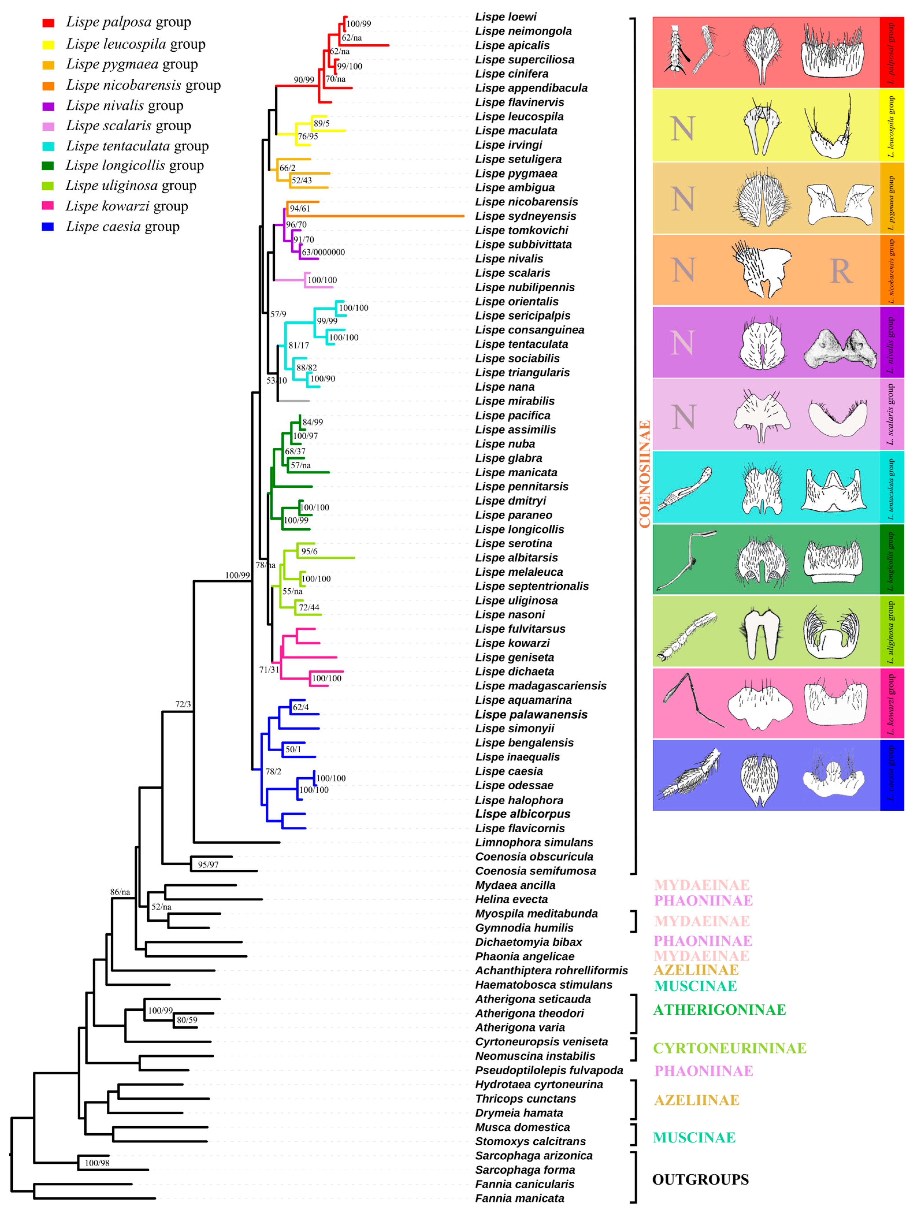 Insects 13 01015 g002