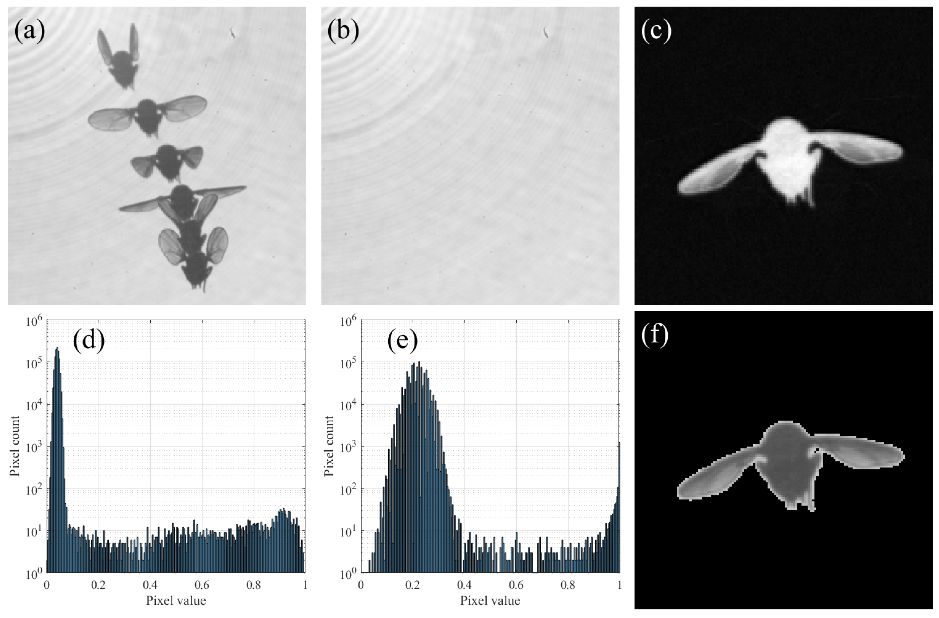 Insects 13 01018 g003