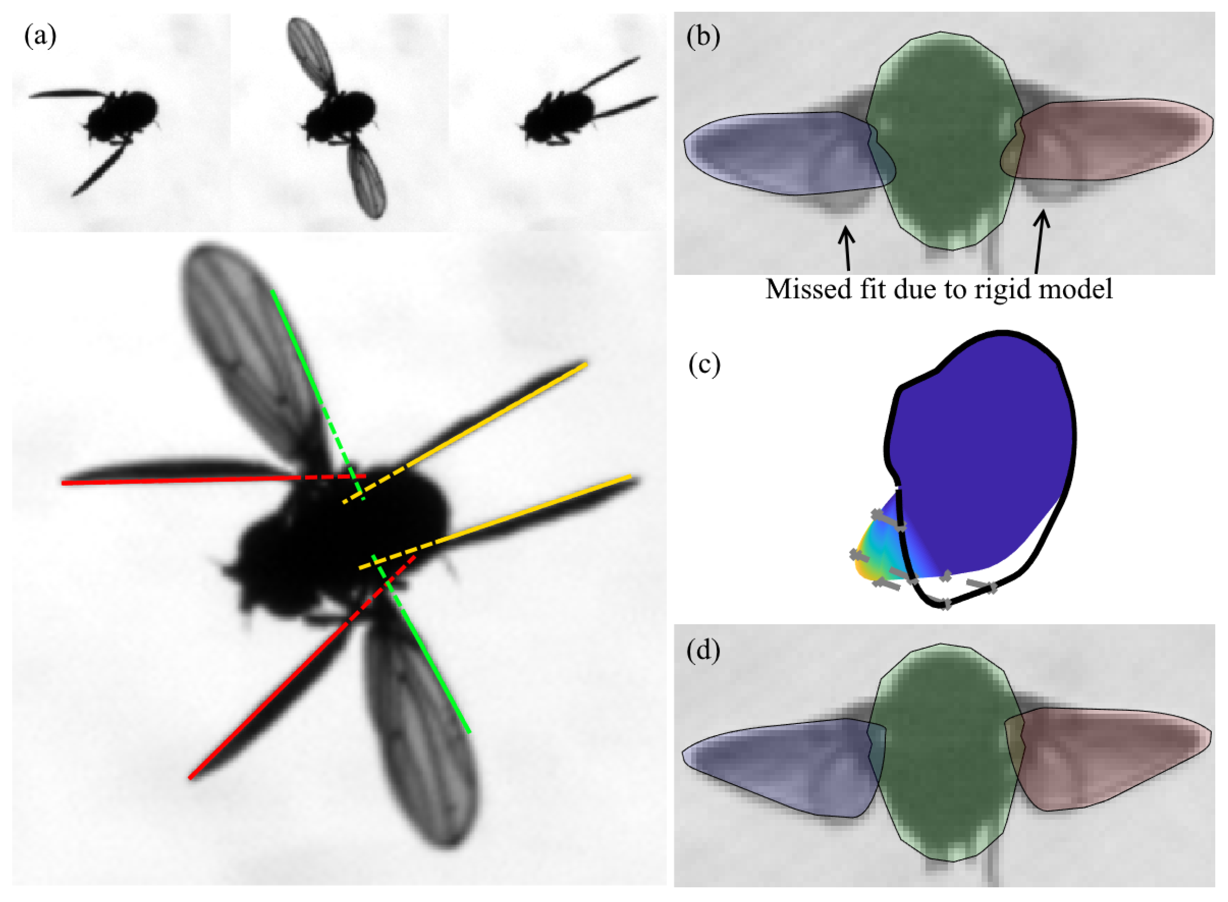 Insects 13 01018 g004