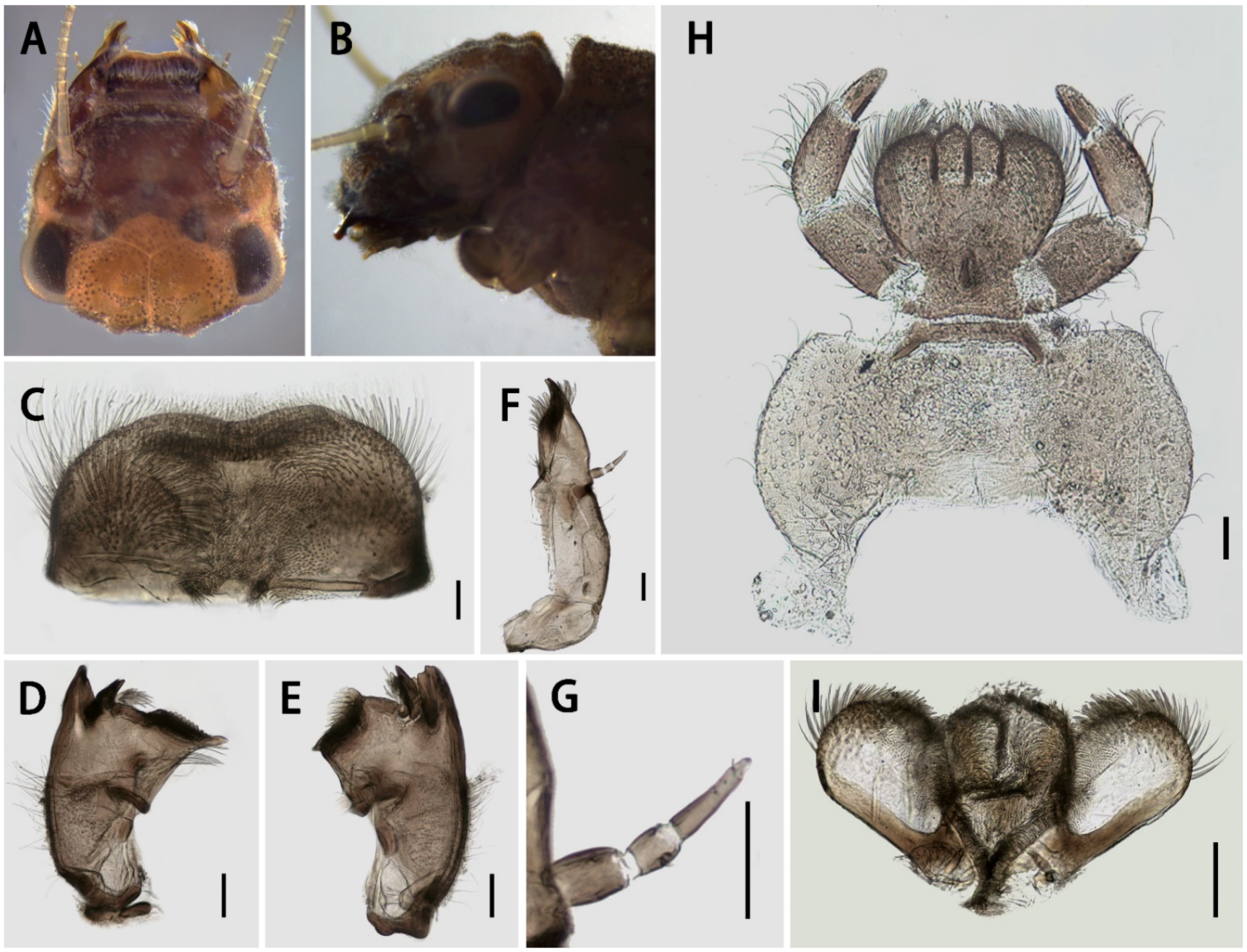Insects 13 01019 g002