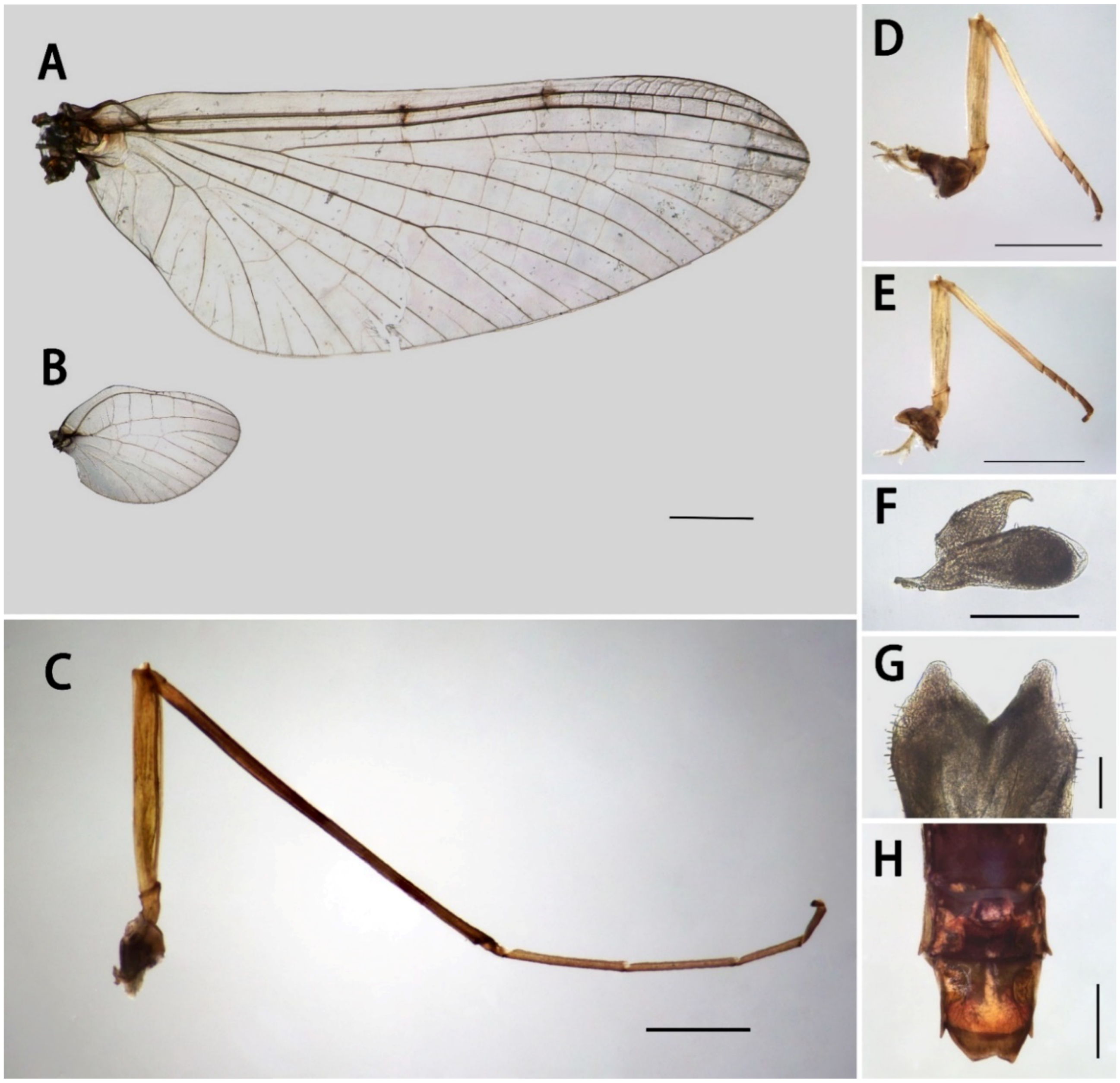 Insects 13 01019 g005