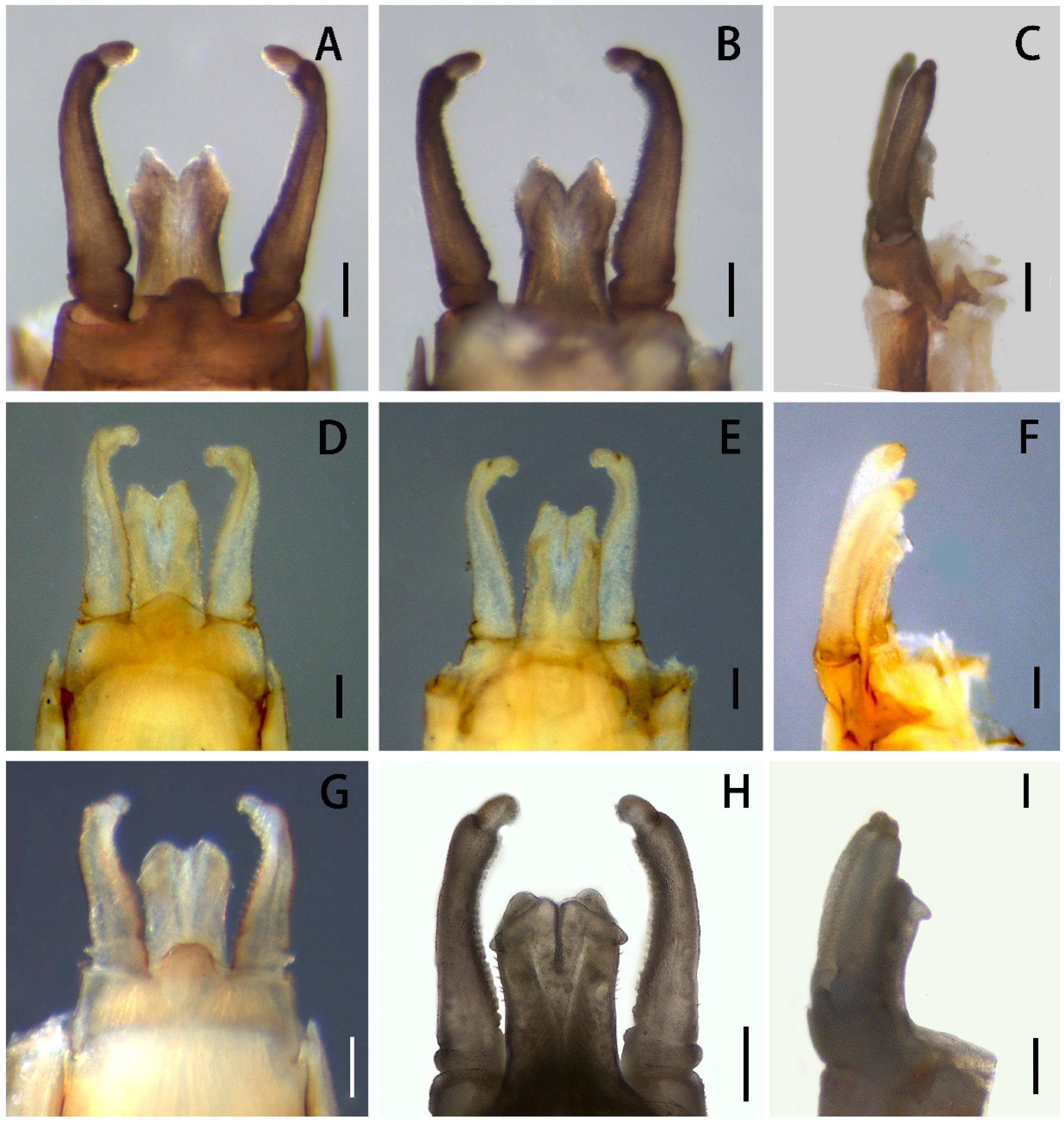 Insects 13 01019 g006