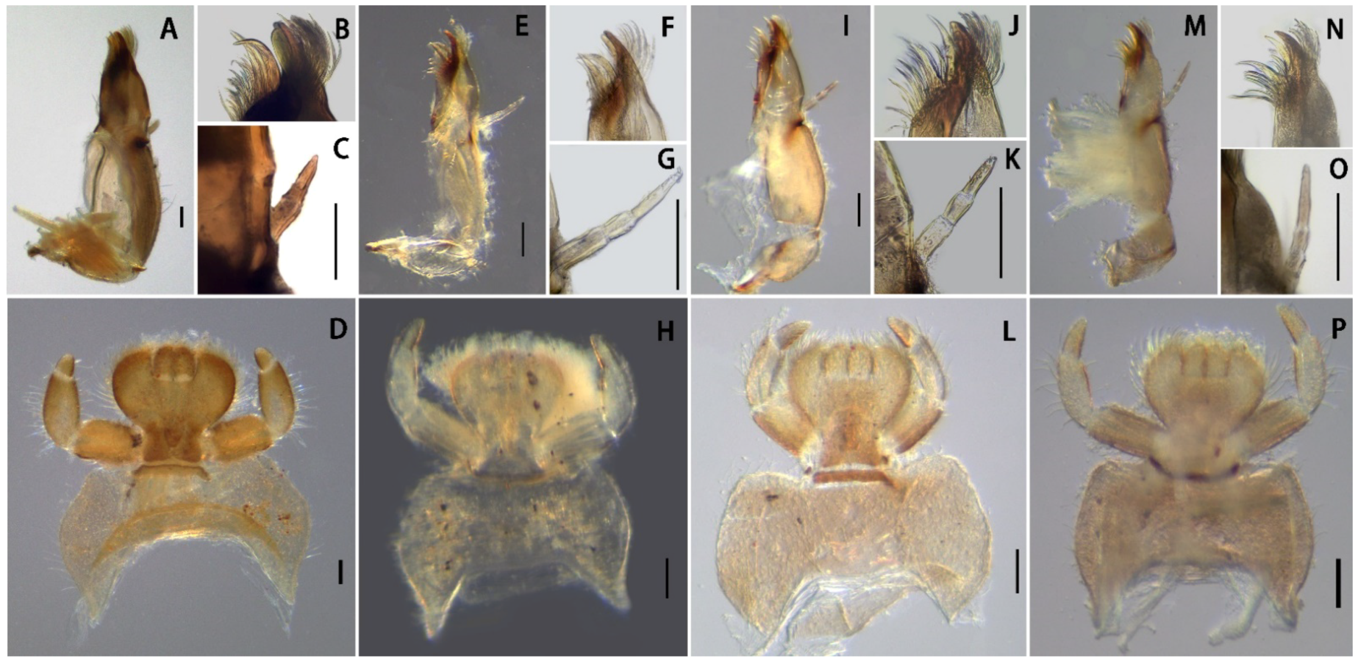 Insects 13 01019 g008