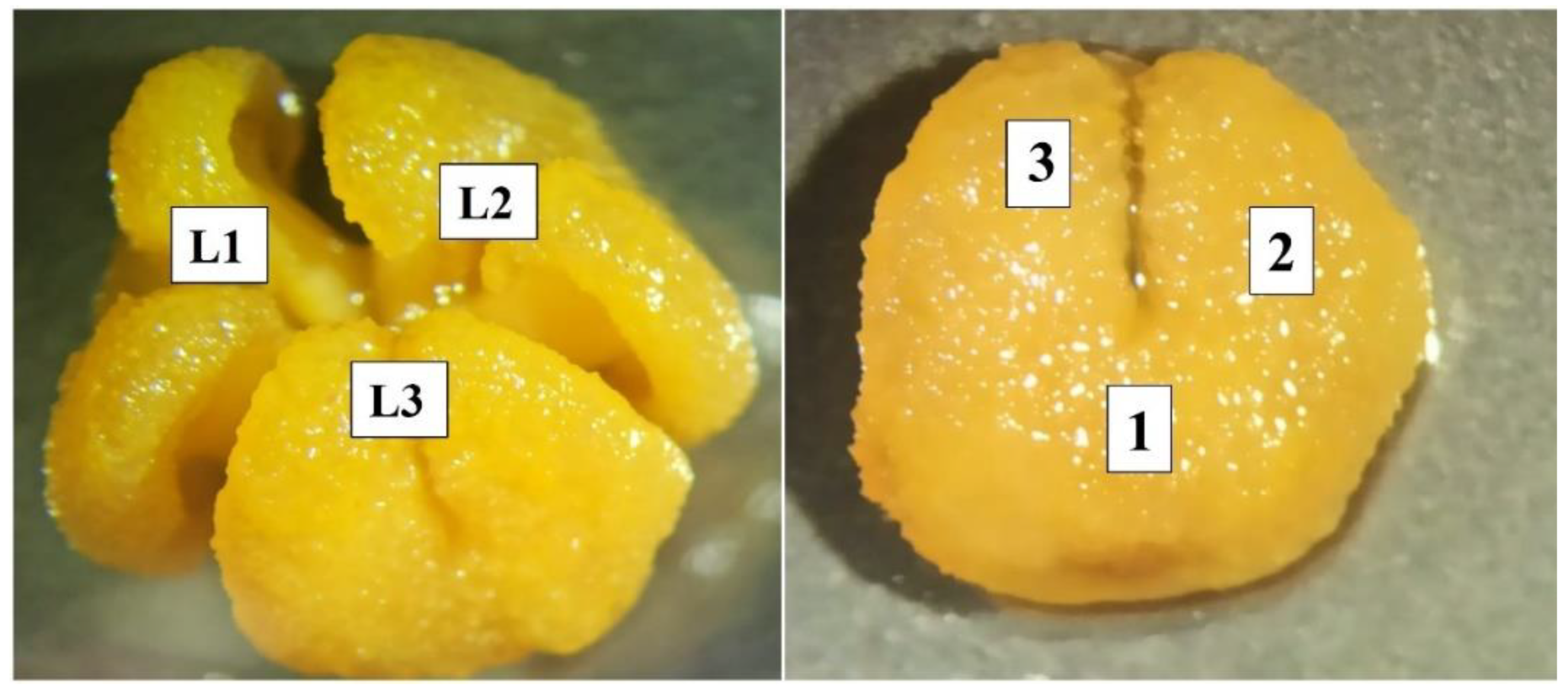 Insects 13 01021 g002