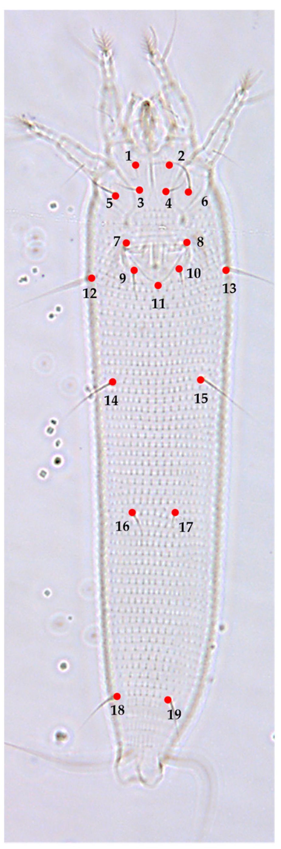 Insects 13 01022 g003 Insects 13 01022 g003