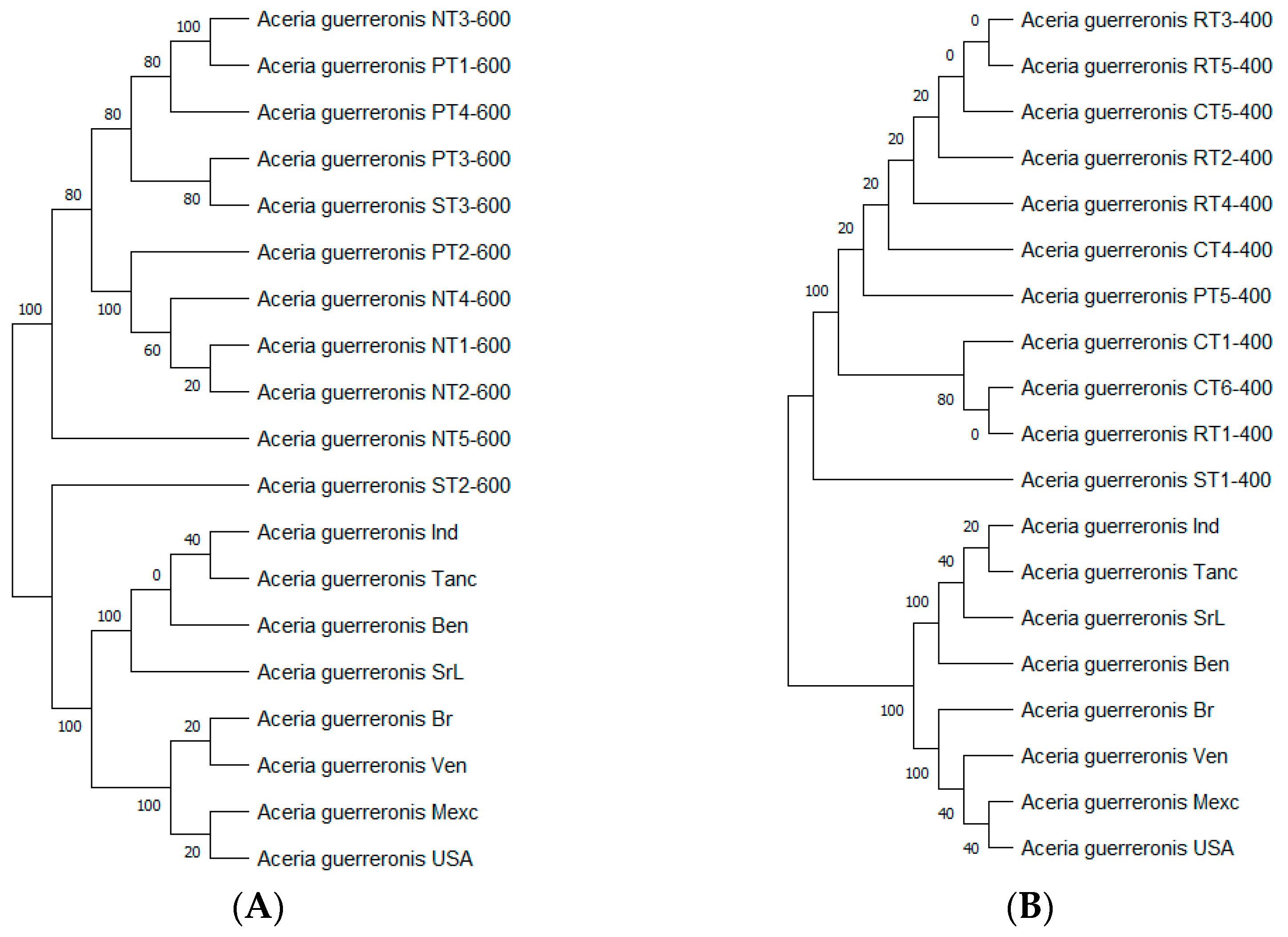 Insects 13 01022 g011 Insects 13 01022 g011