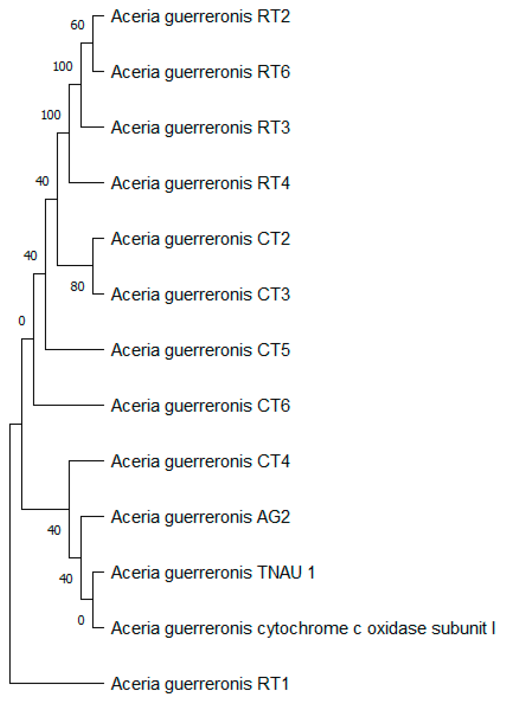 Insects 13 01022 g012 Insects 13 01022 g012