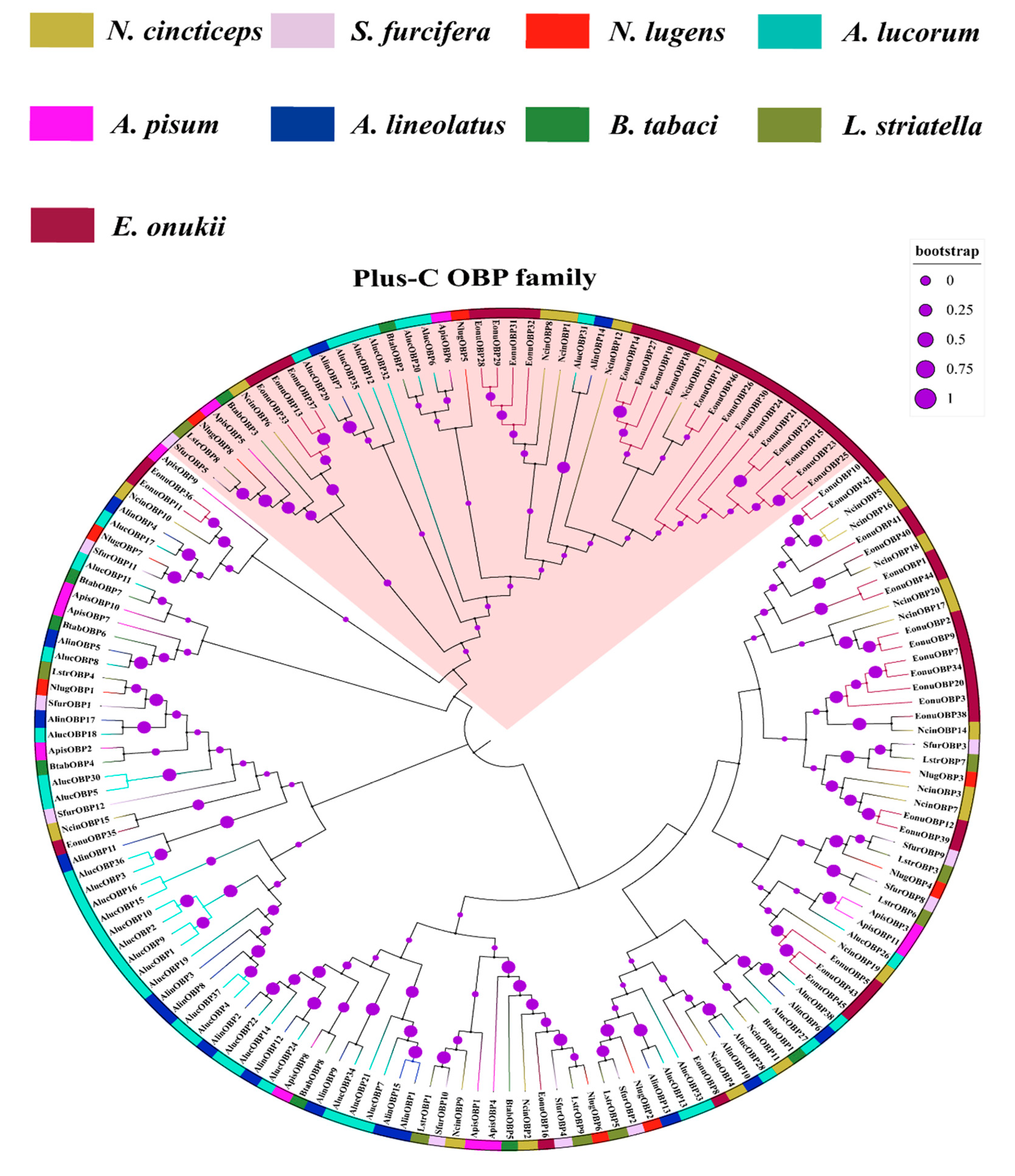 Insects 13 01024 g003