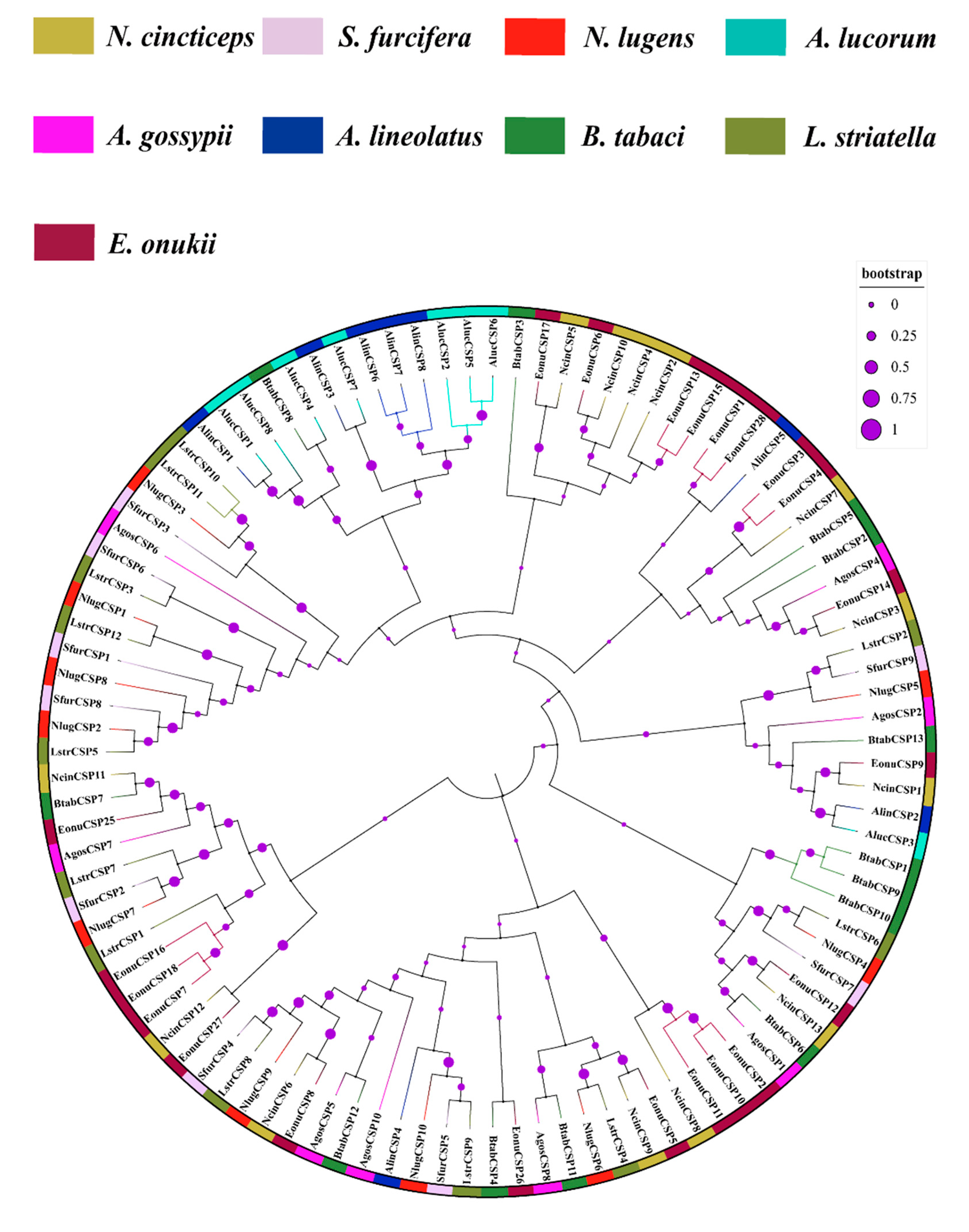 Insects 13 01024 g004