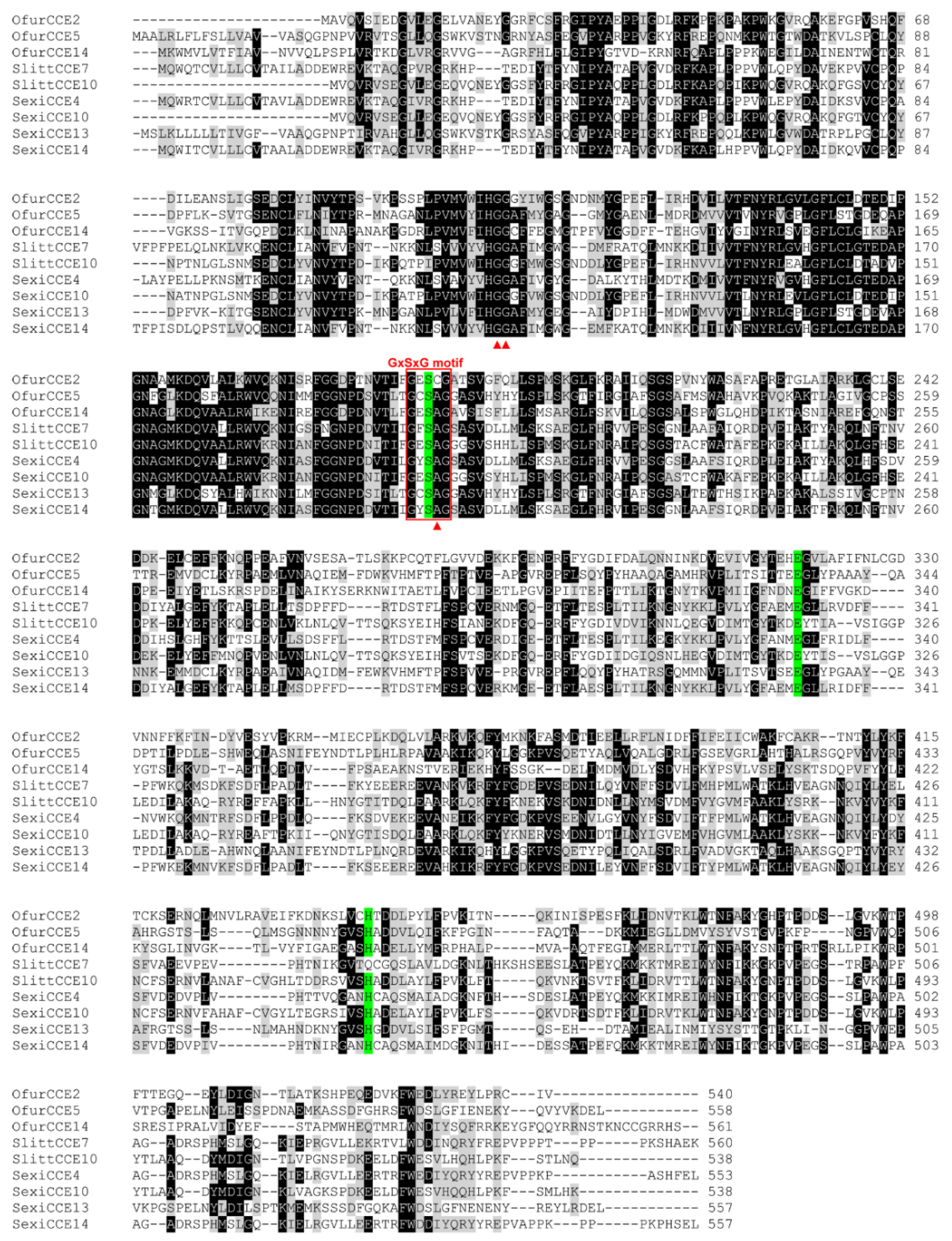 Insects 13 01027 g001
