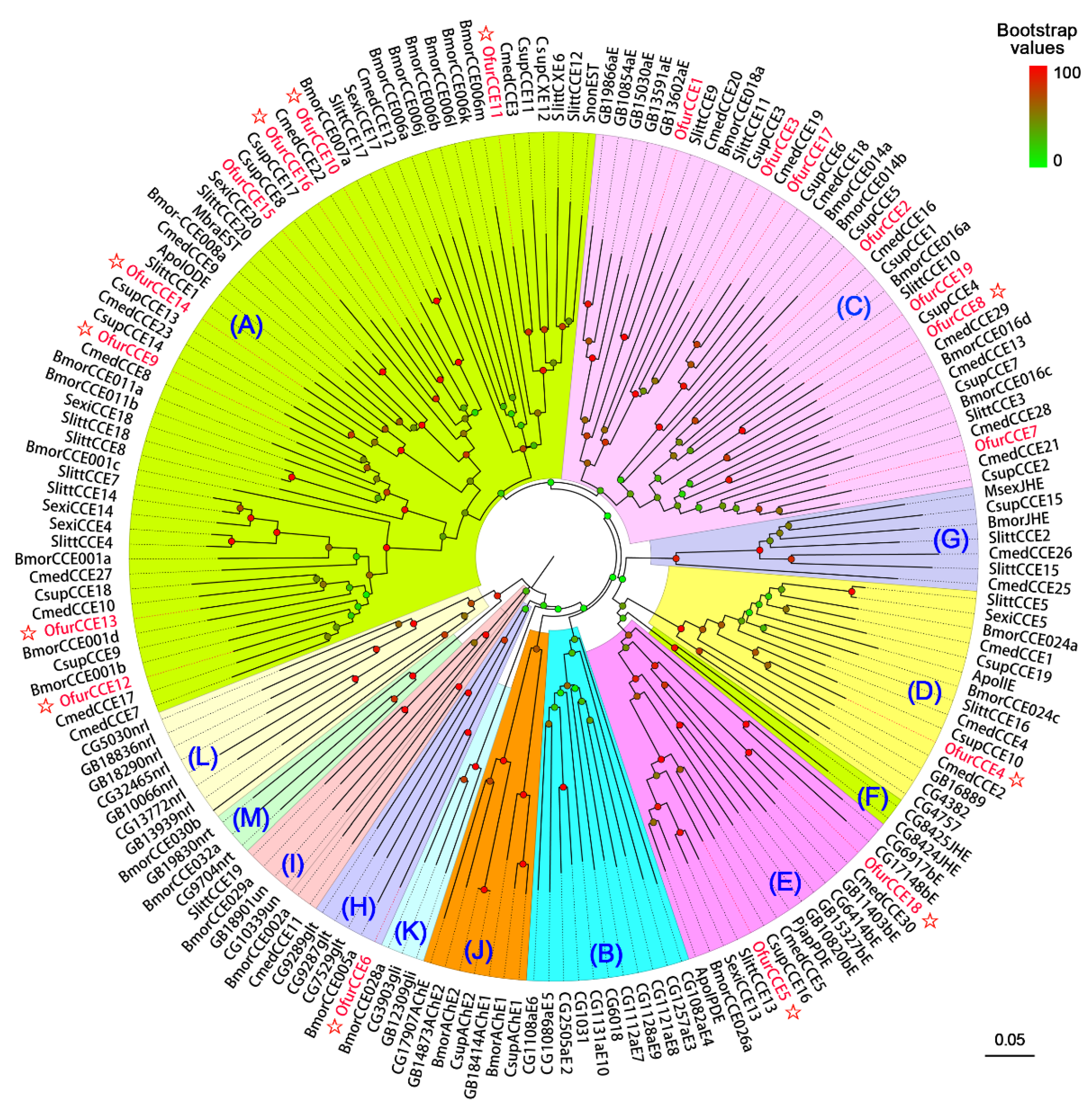 Insects 13 01027 g002