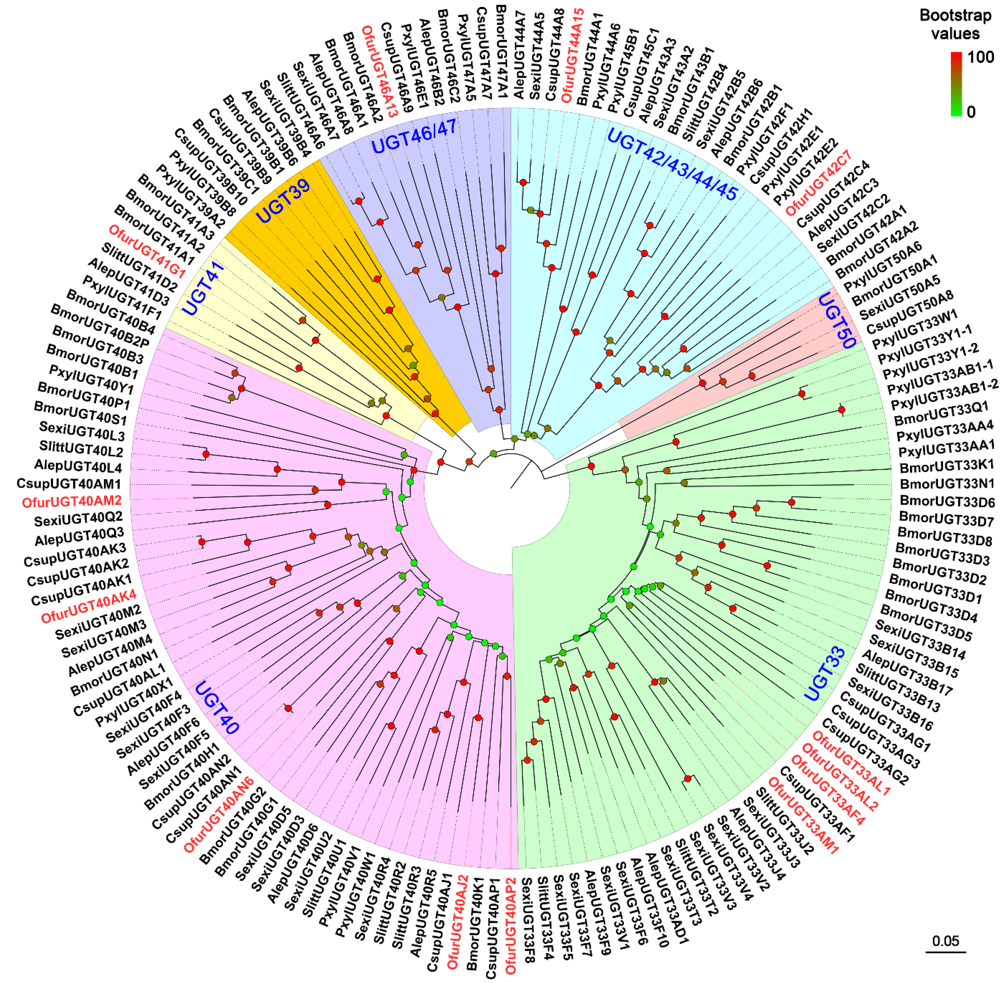 Insects 13 01027 g005