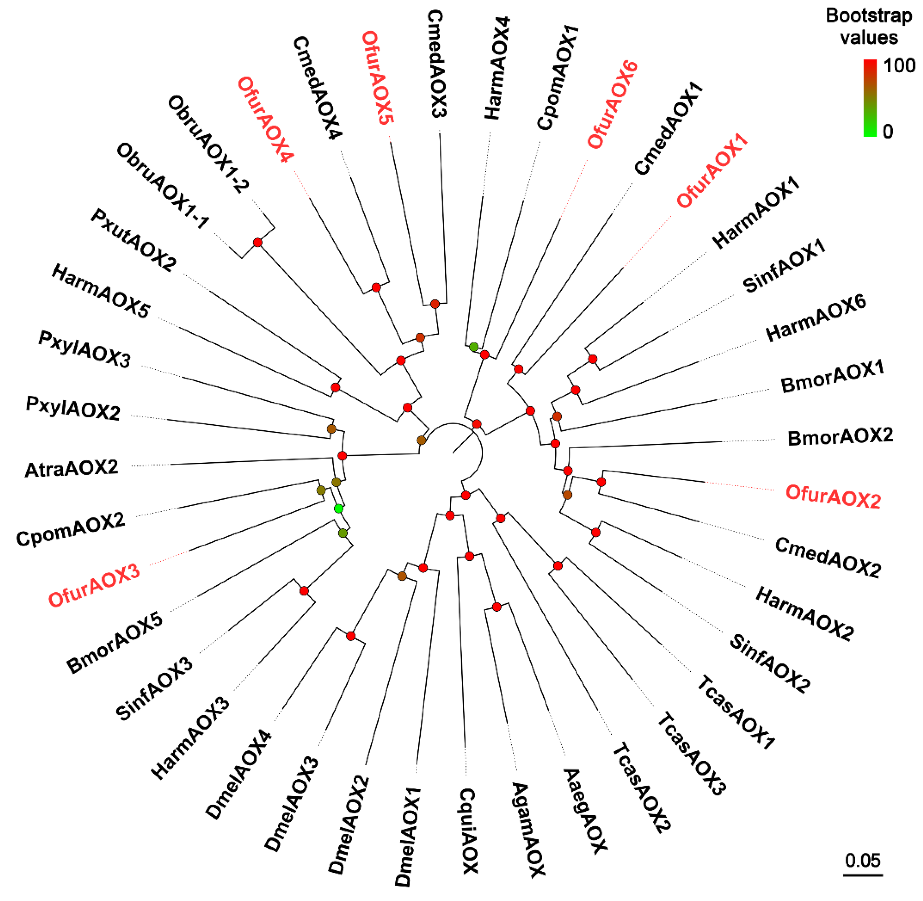 Insects 13 01027 g006