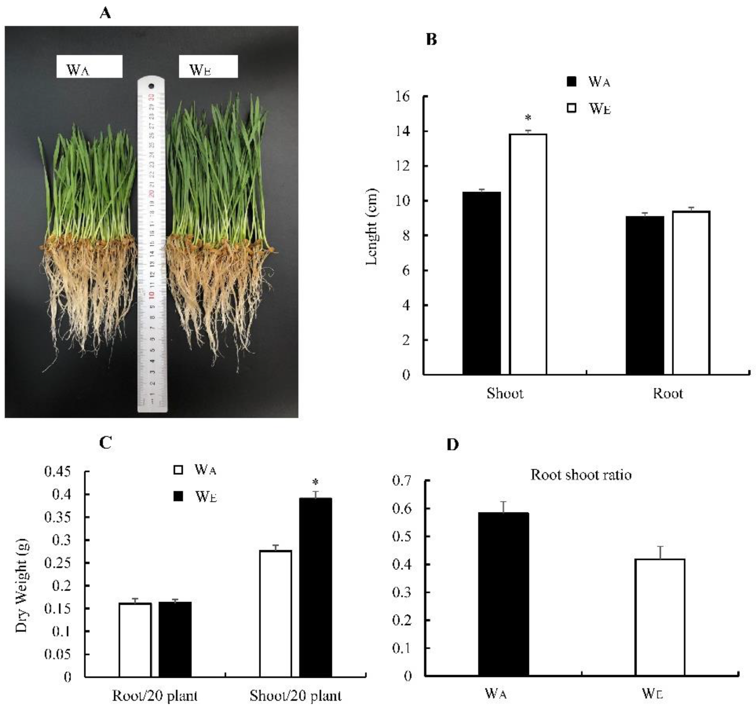 Insects 13 01029 g002