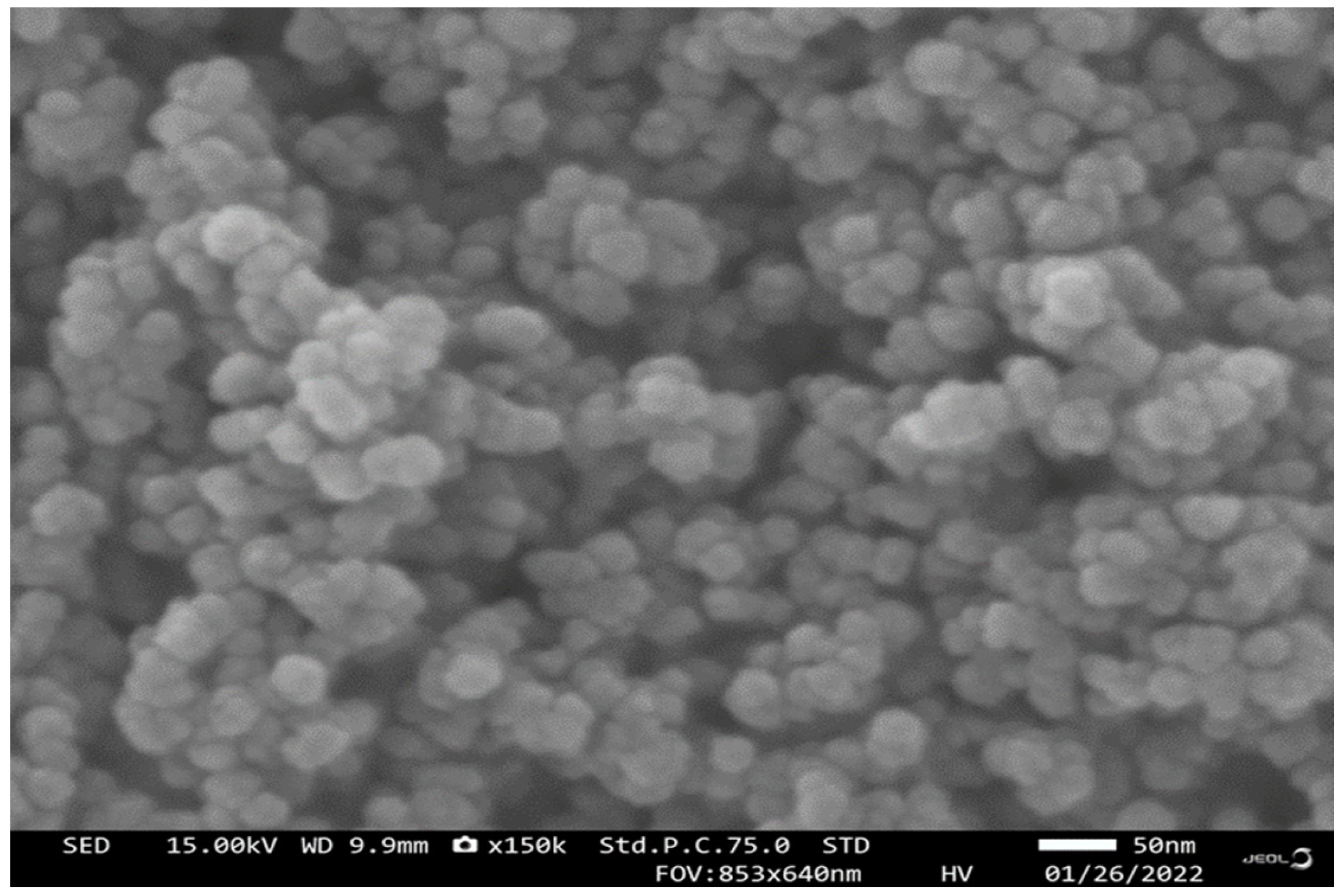 Insects 13 01030 g001