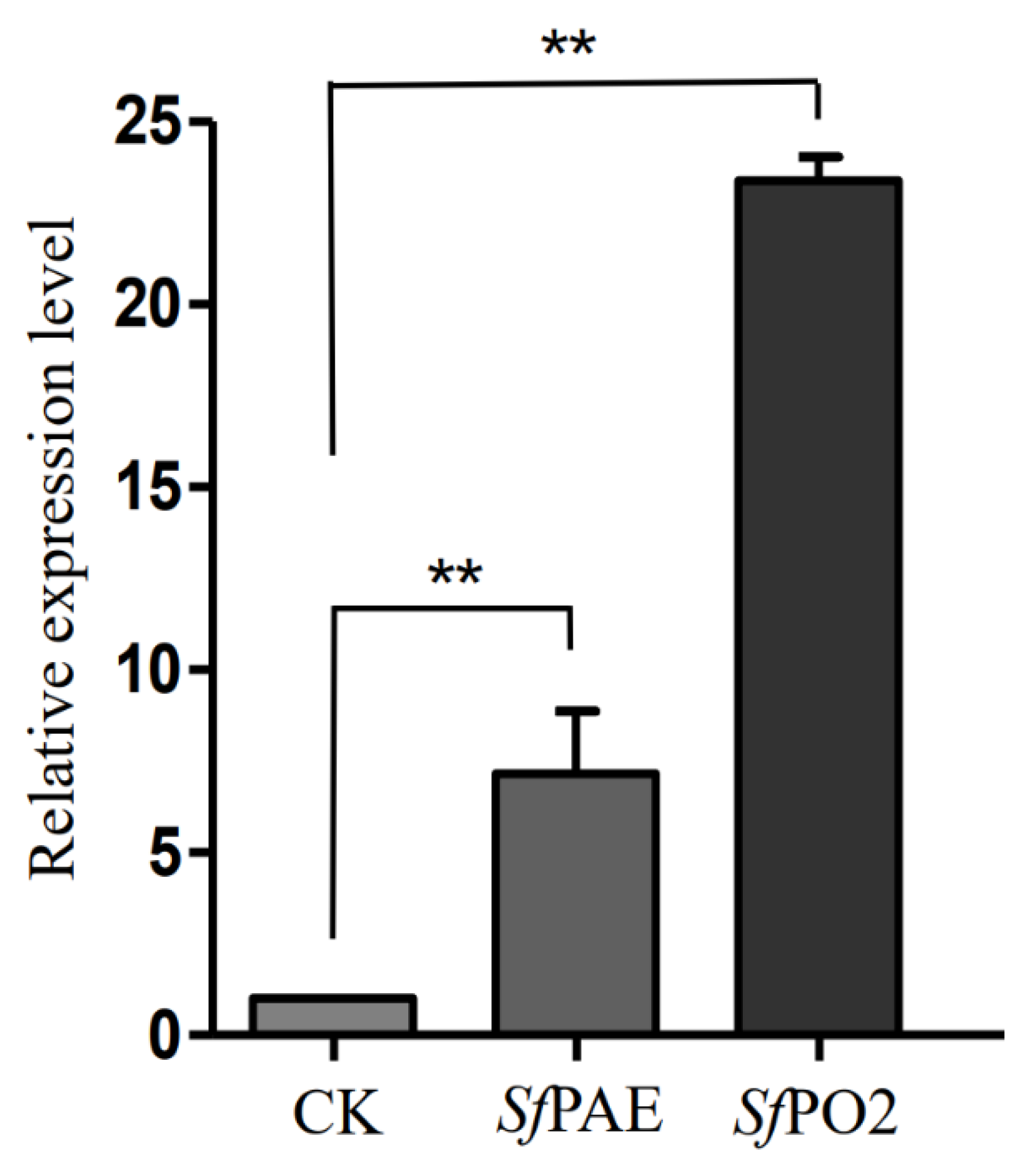 Insects 13 01041 g001