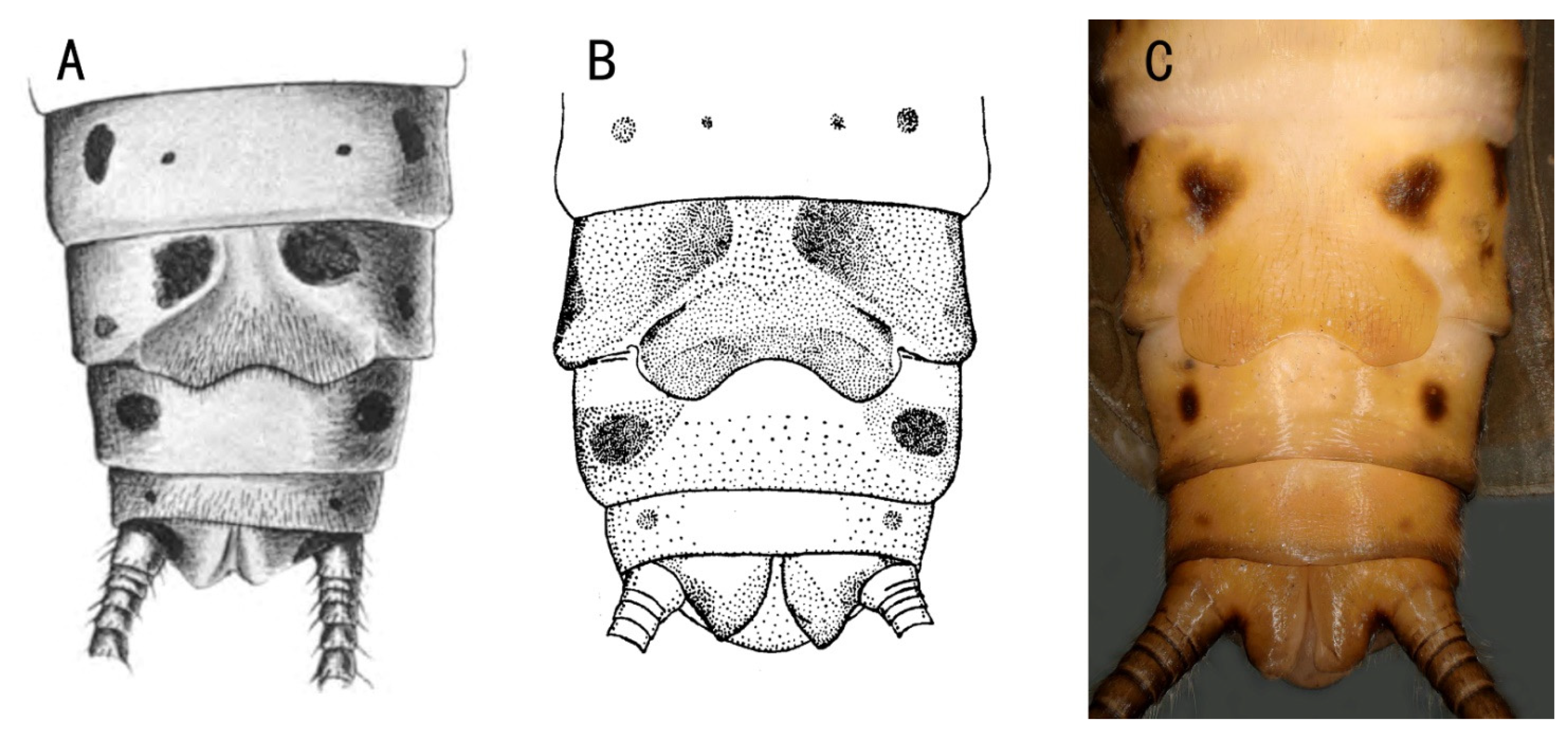 Insects 13 01044 g002