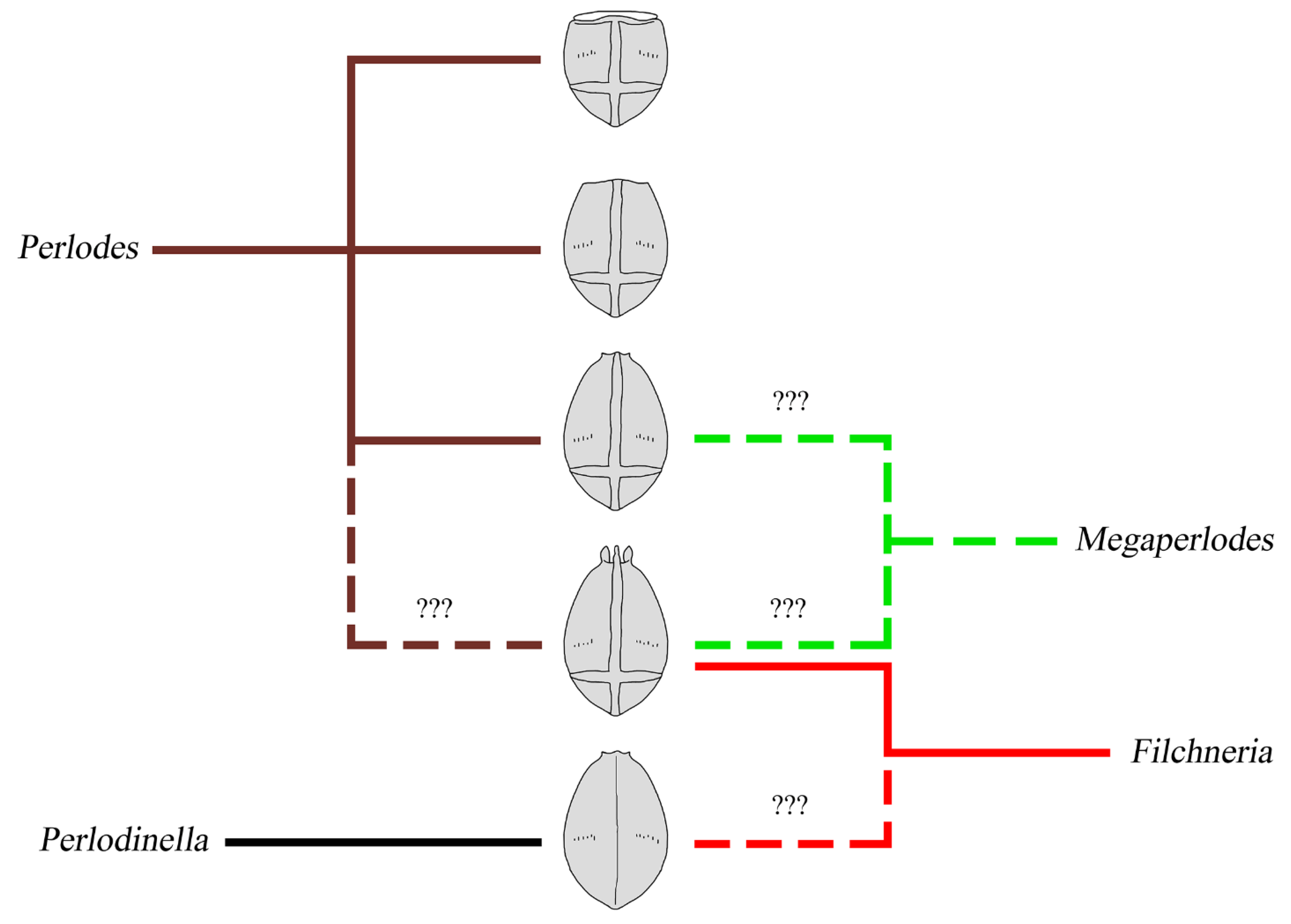 Insects 13 01044 g016