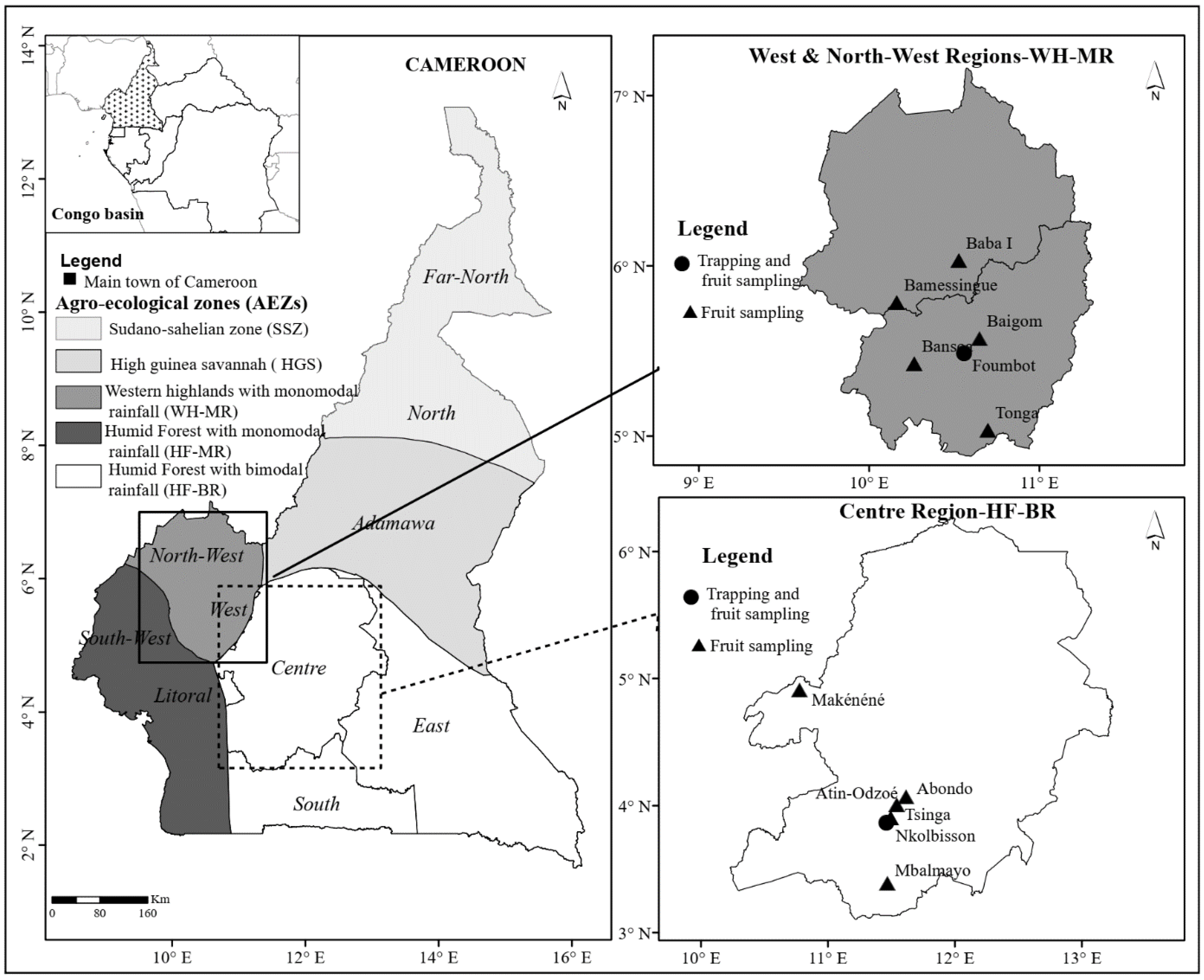 Insects 13 01045 g001