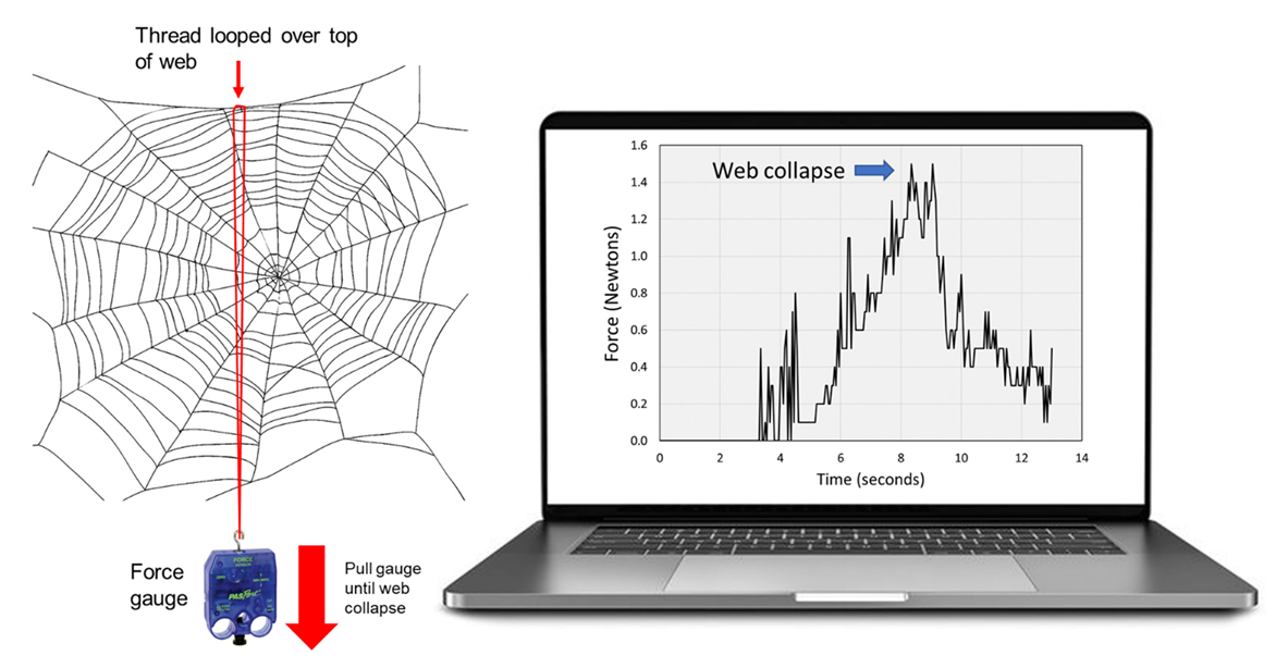 Insects 13 01049 g003