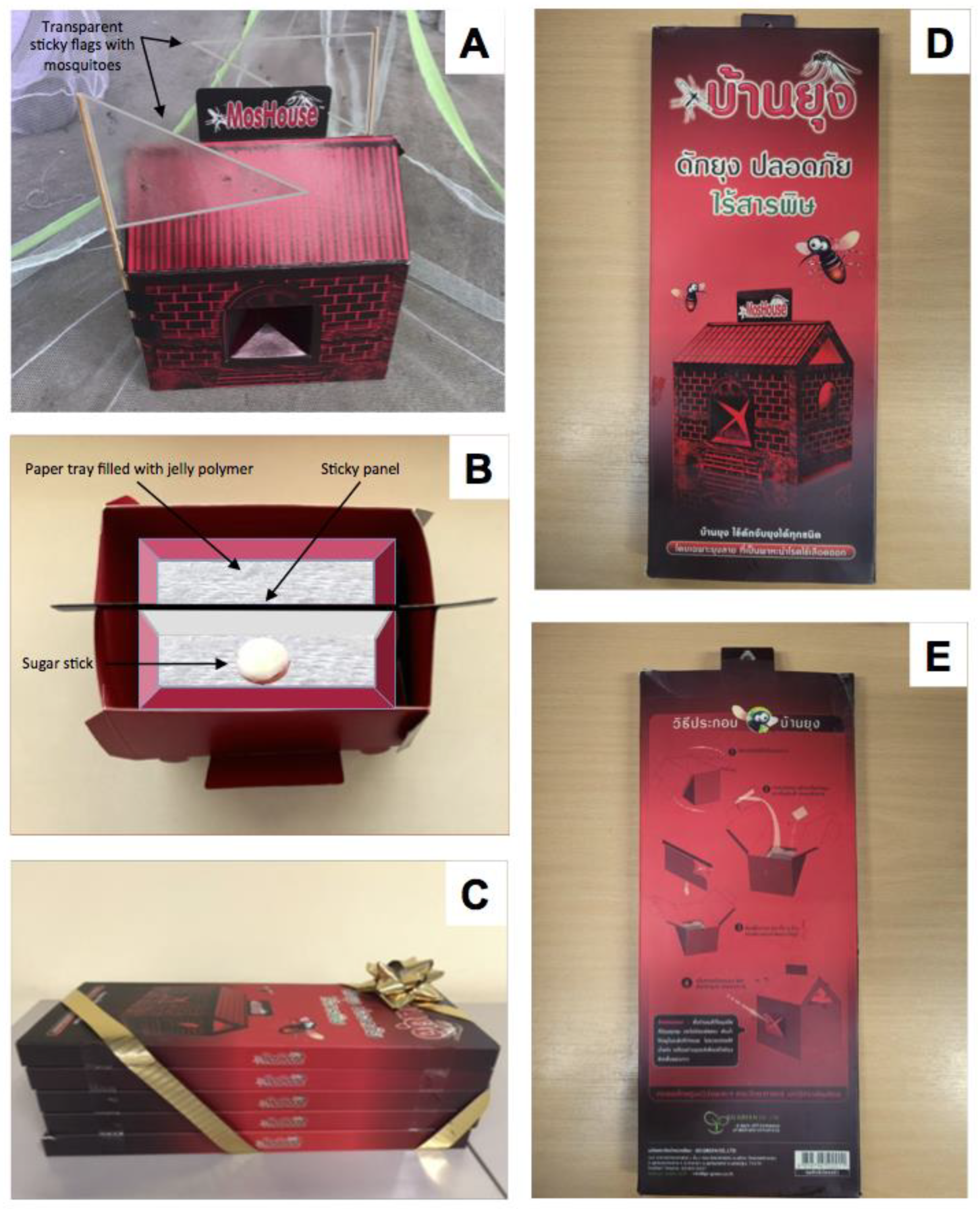 Insects 13 01050 g001