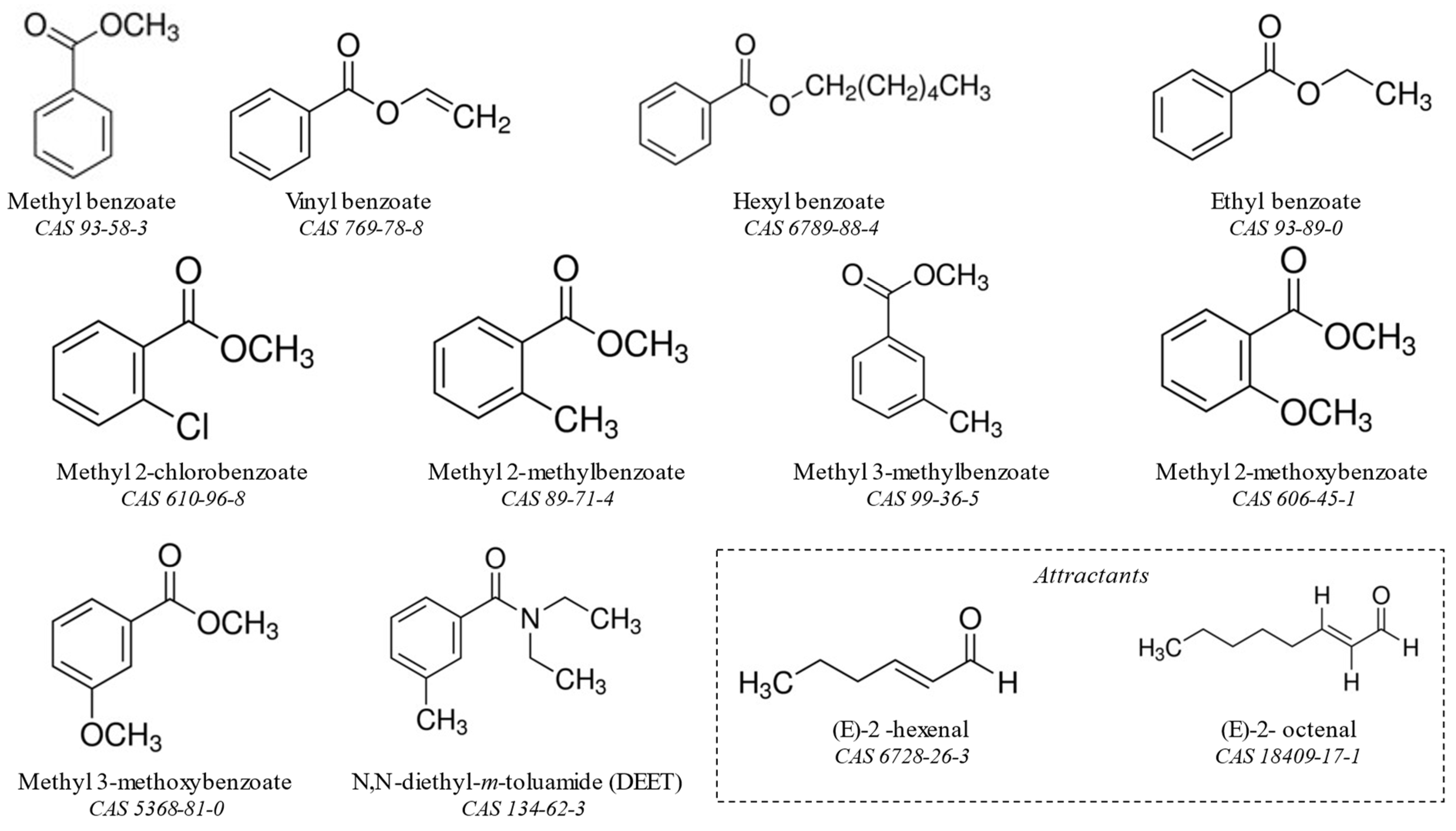 Insects 13 01060 g001