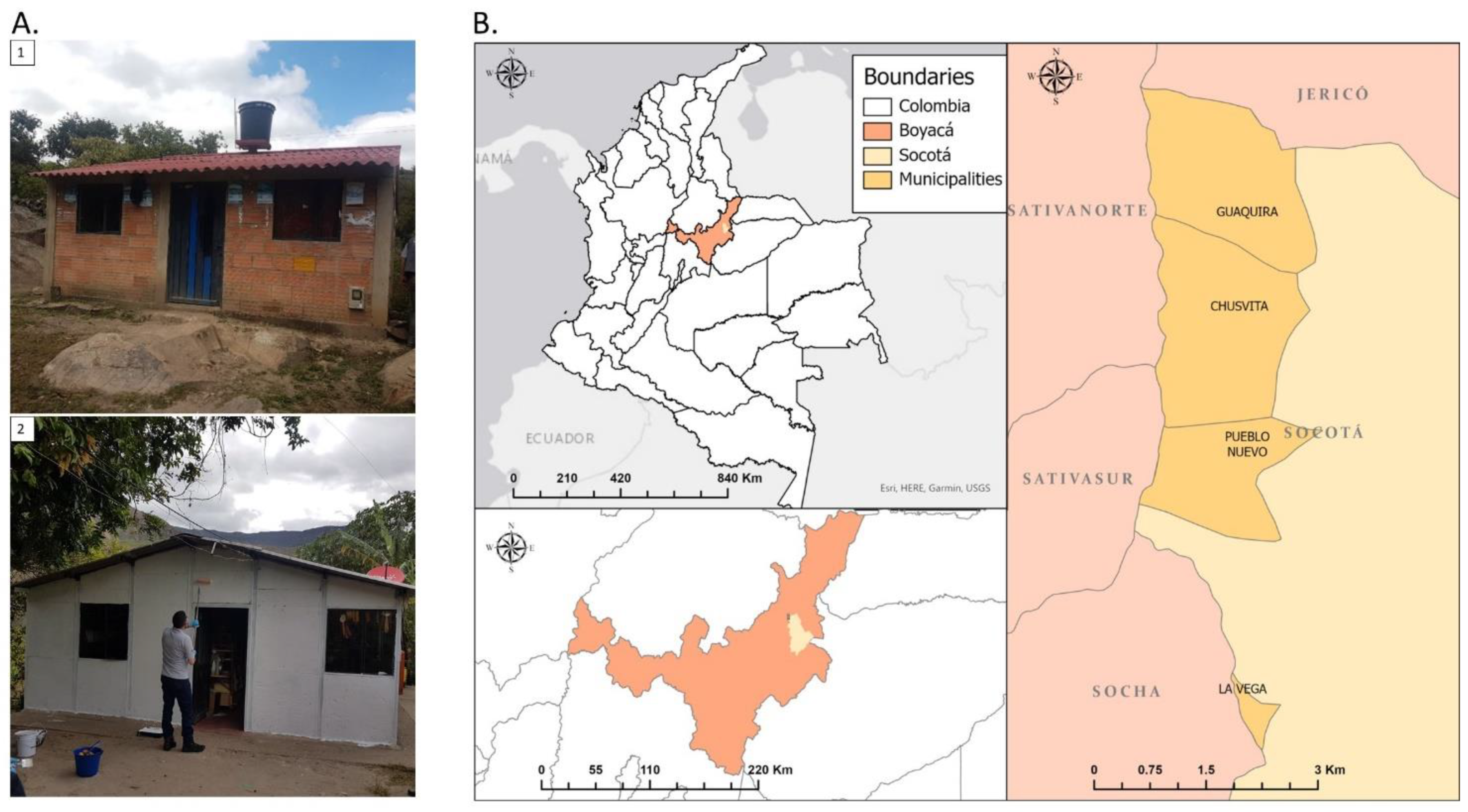 Insects 13 01061 g001