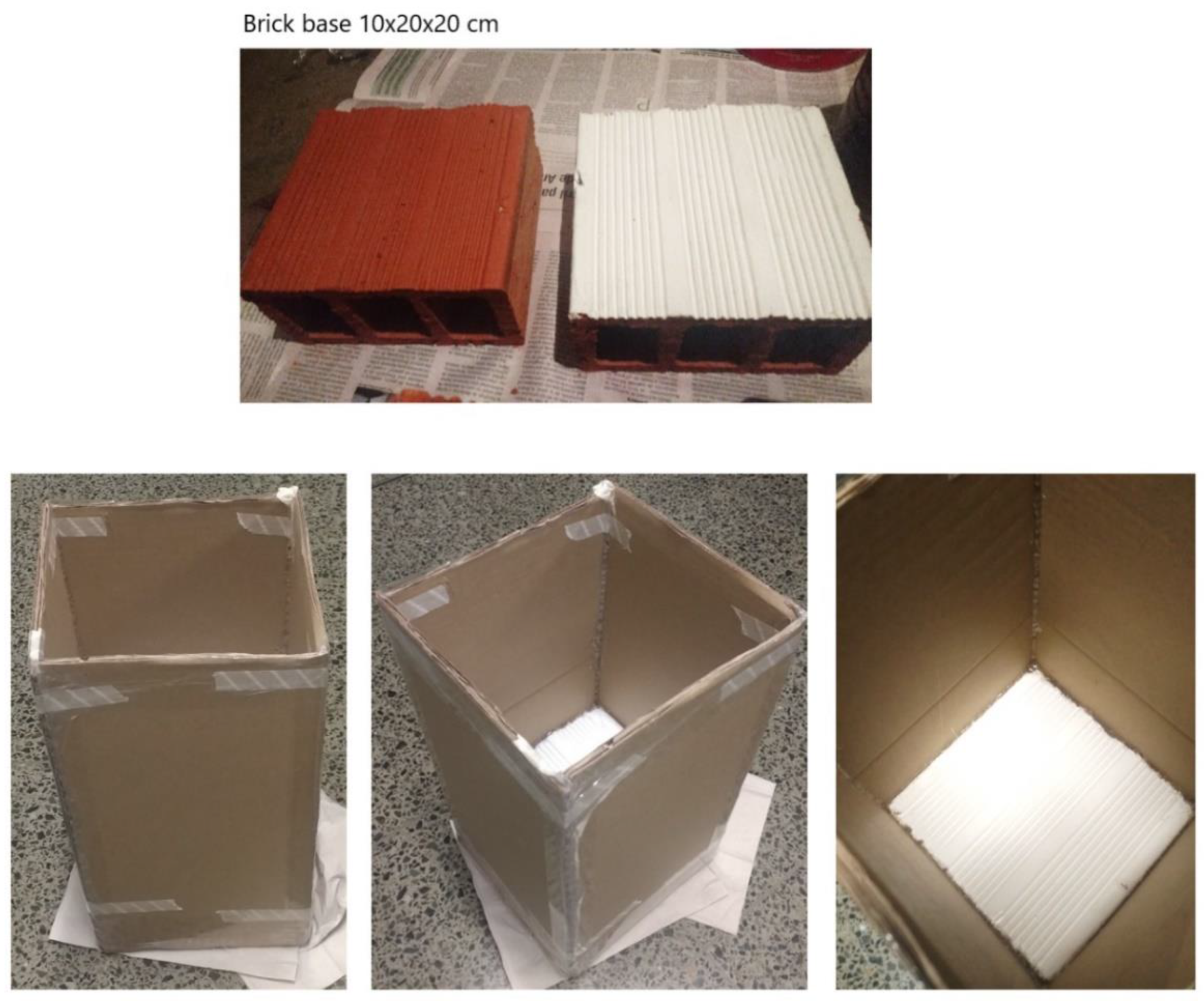 Insects 13 01061 g002