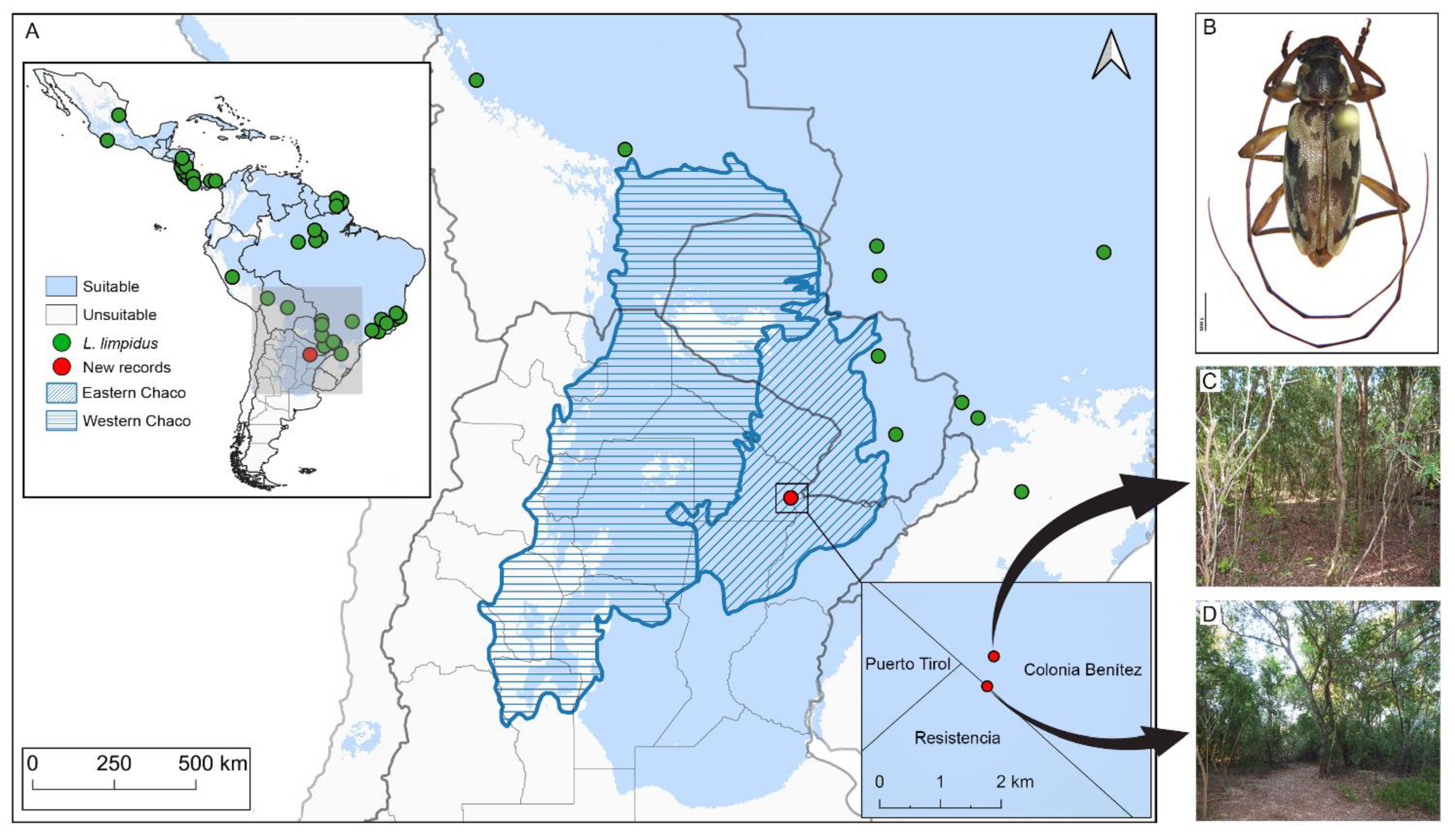 Insects 13 01069 g001