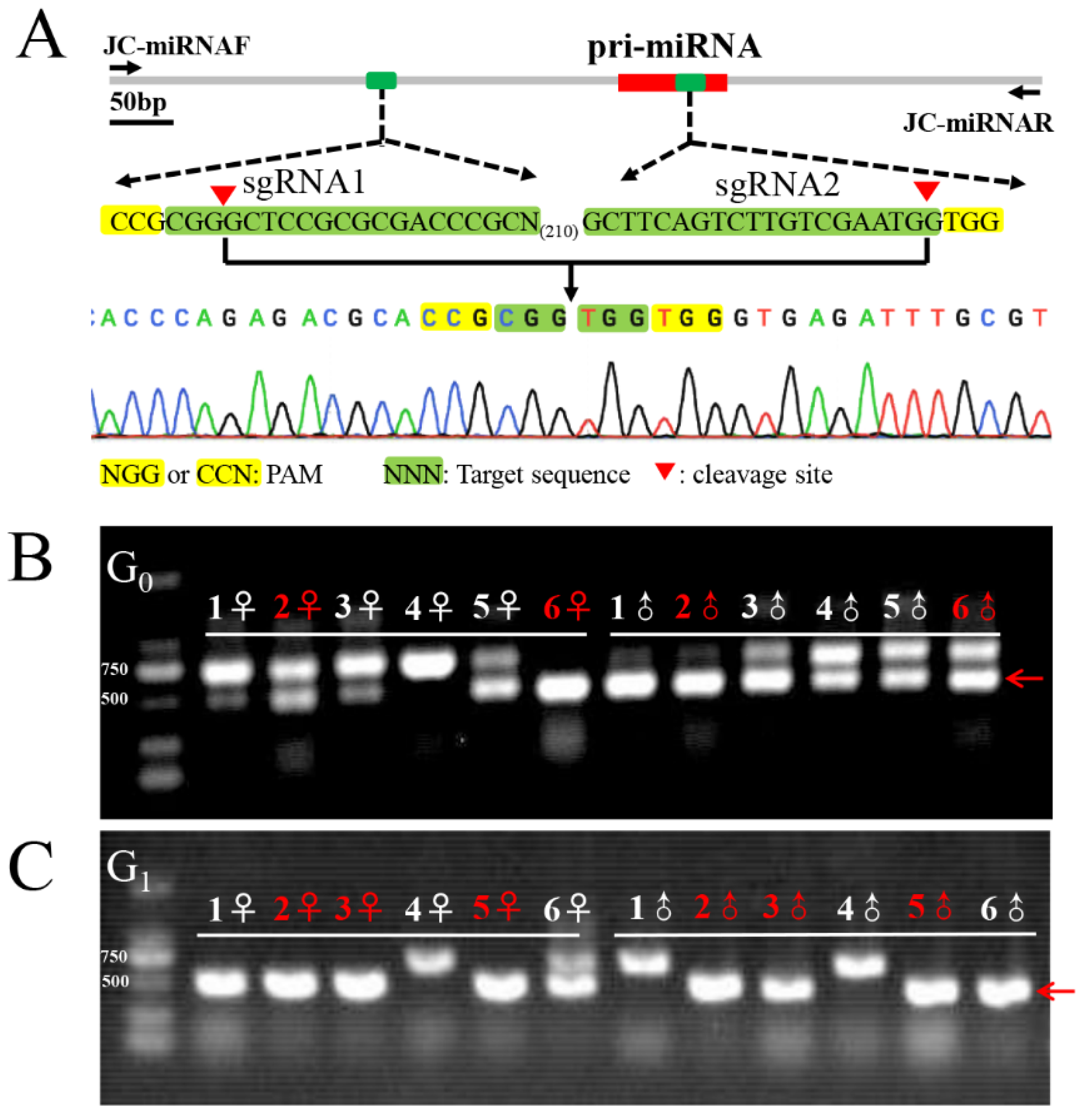 Insects 13 01075 g001