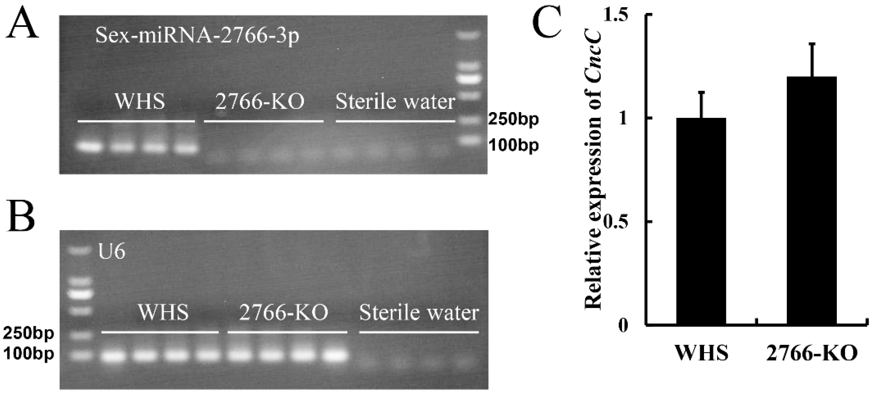 Insects 13 01075 g003