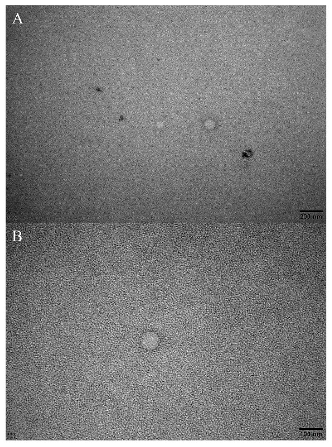 Insects 13 01077 g006