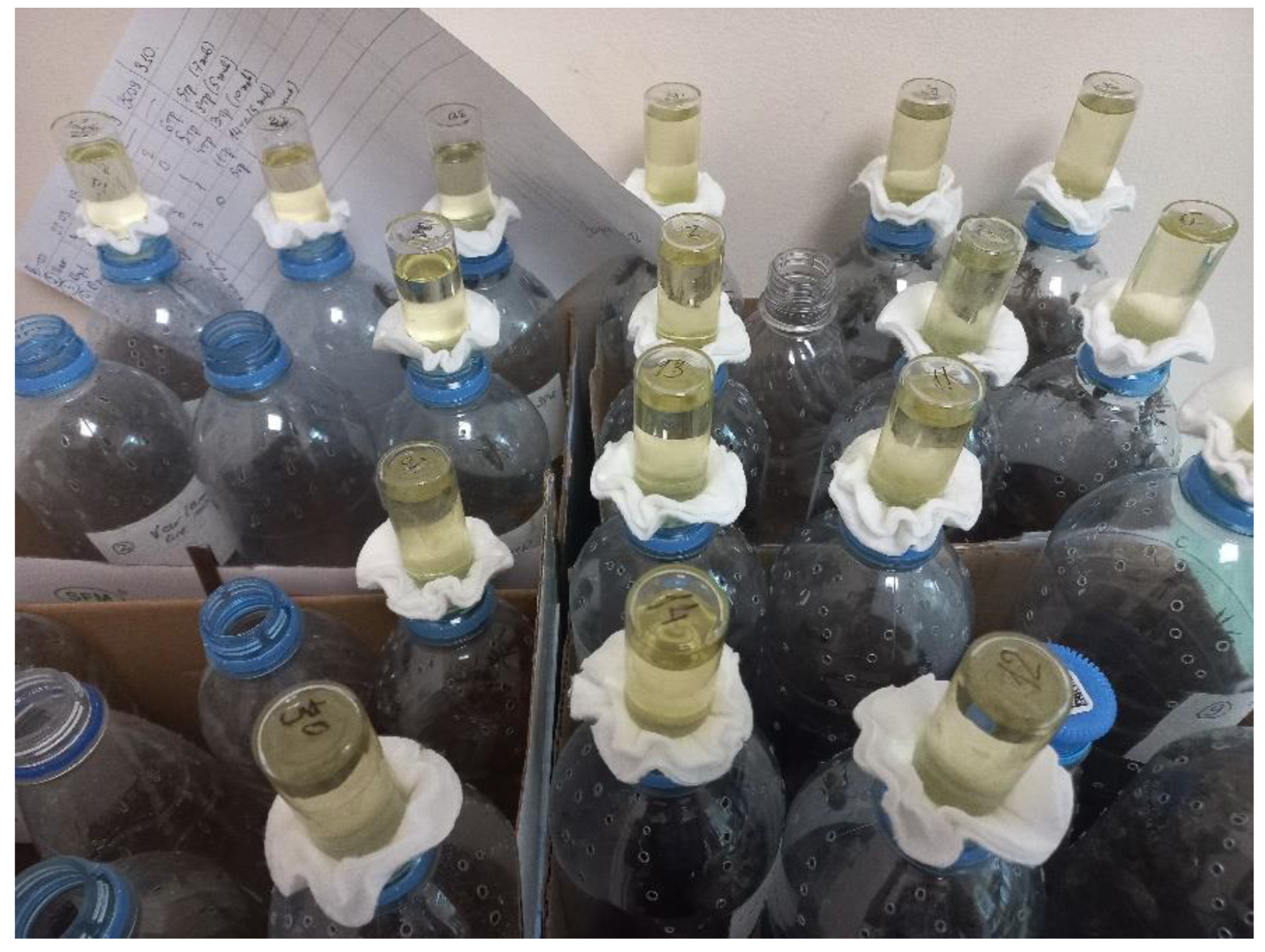 Insects 13 01092 g001 Insects 13 01092 g001