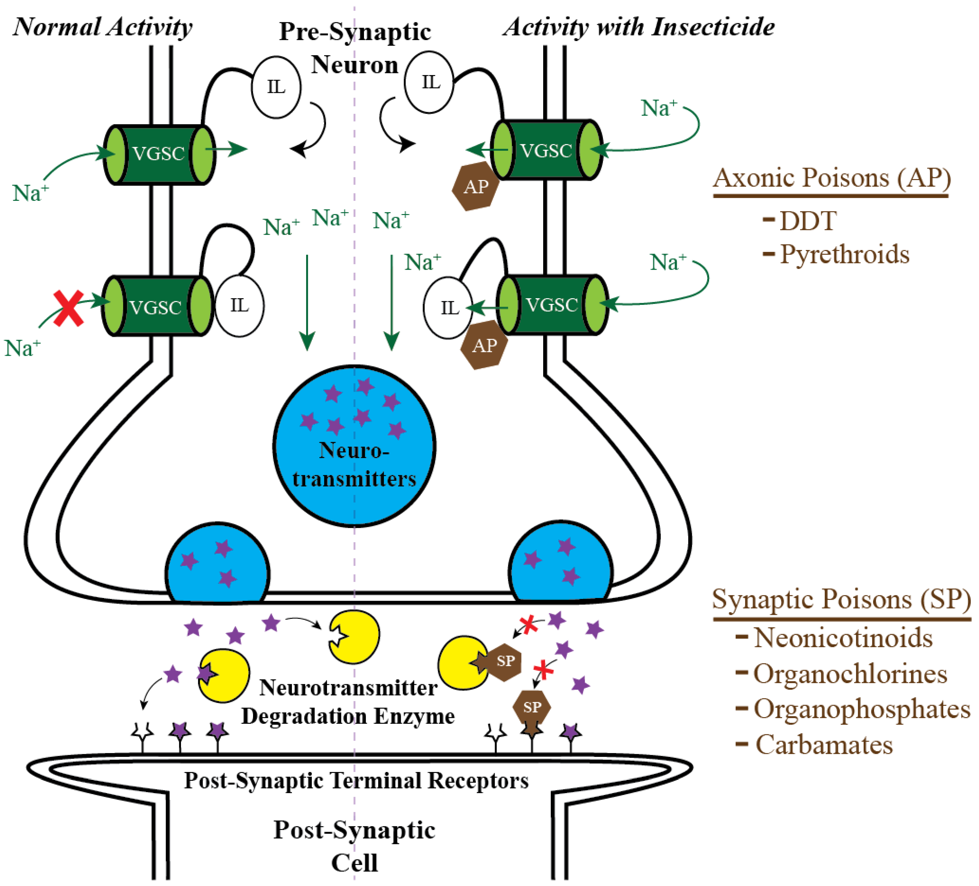 Insects 13 01093 g001