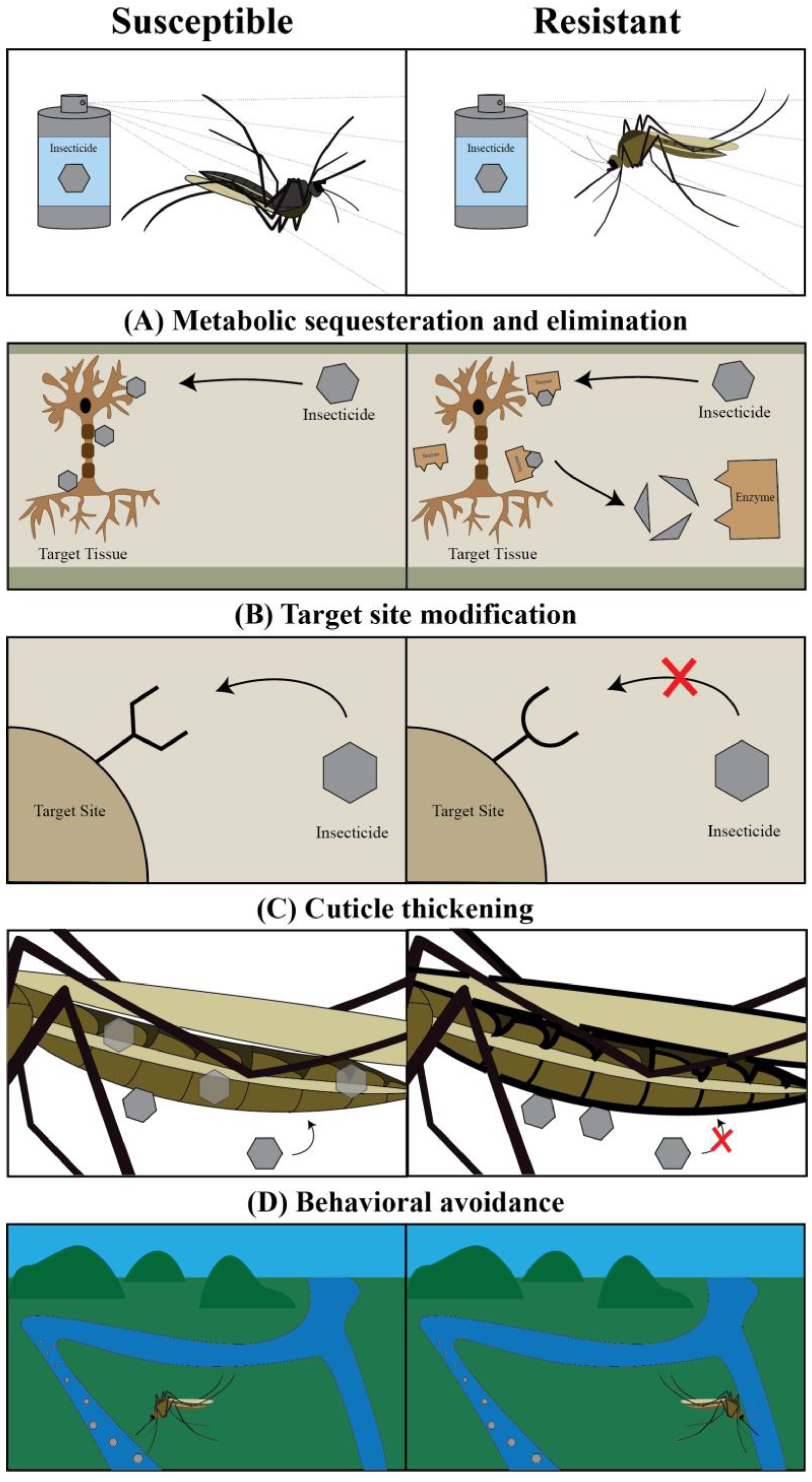 Insects 13 01093 g002