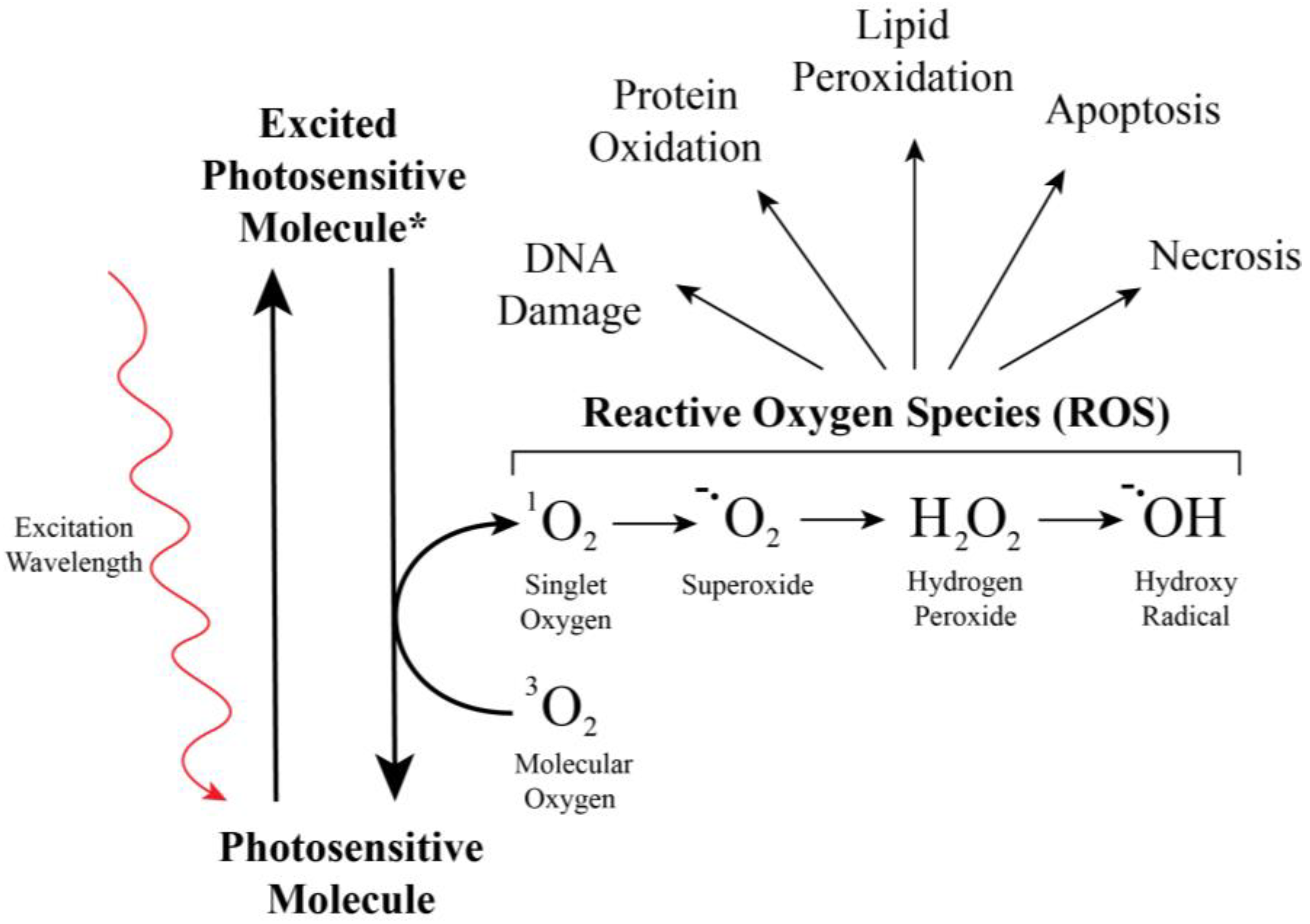 Insects 13 01093 g005