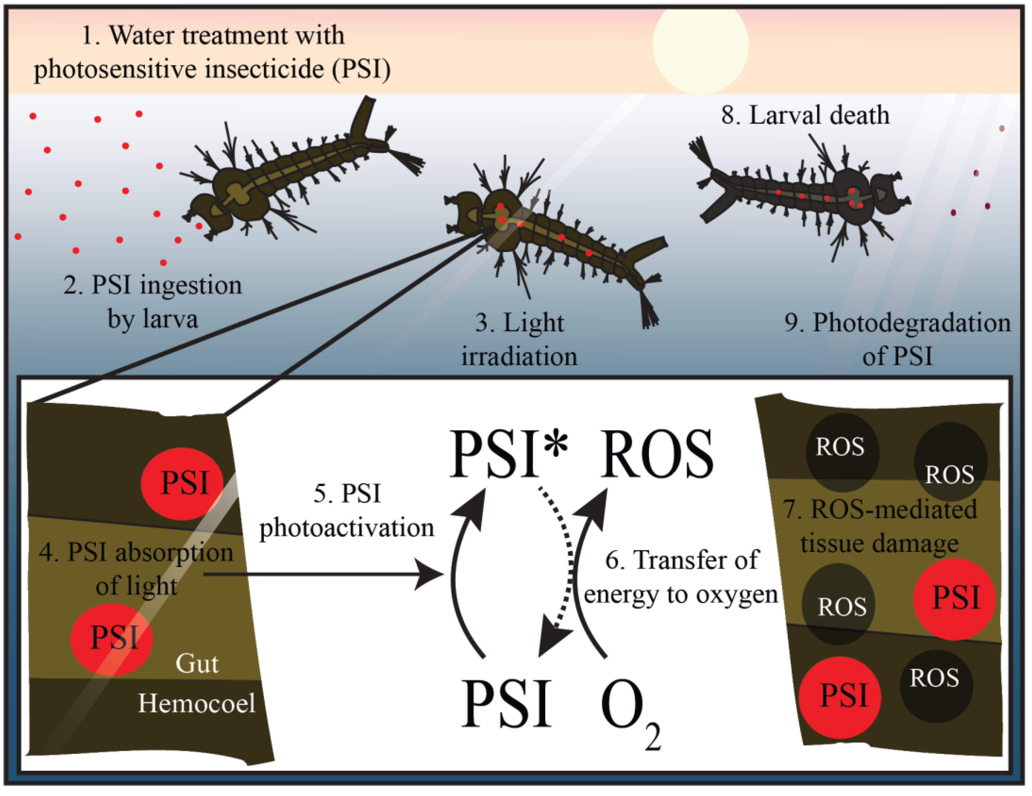Insects 13 01093 g006