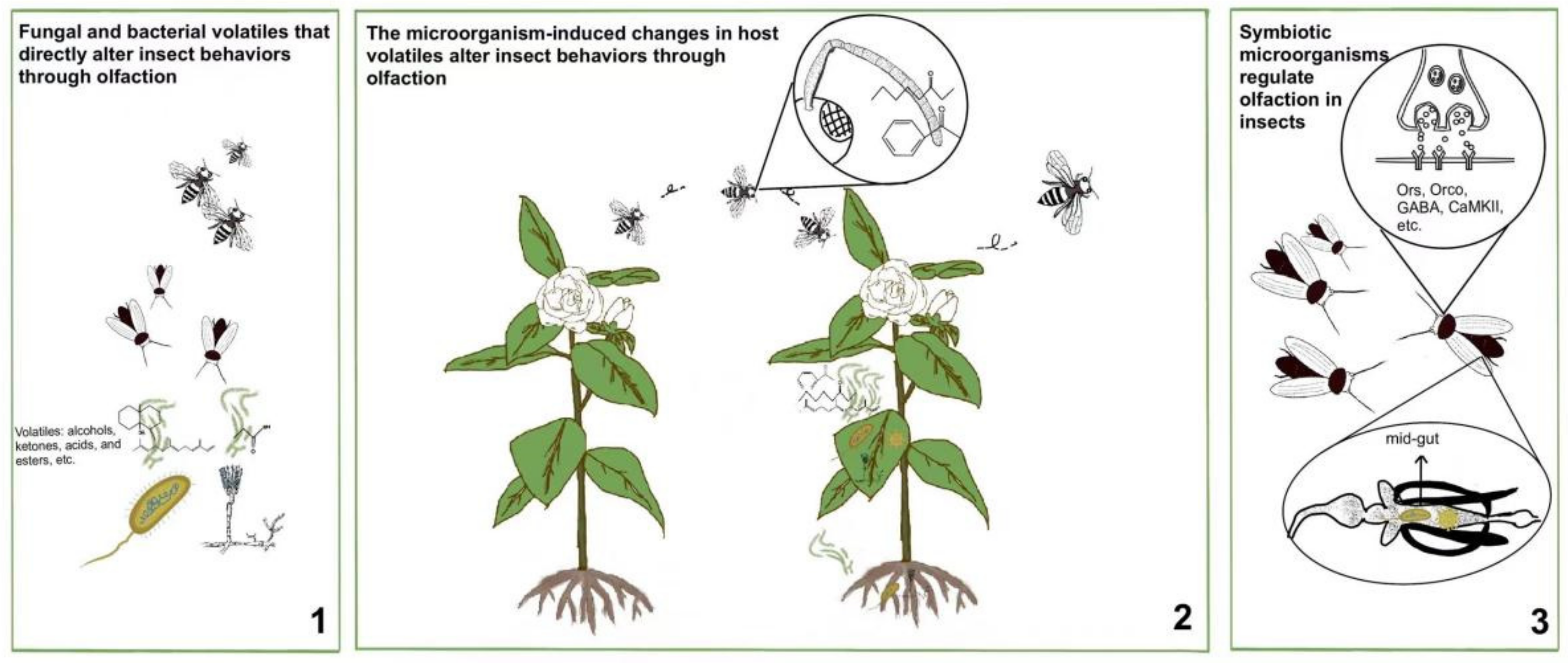 Insects 13 01094 g001