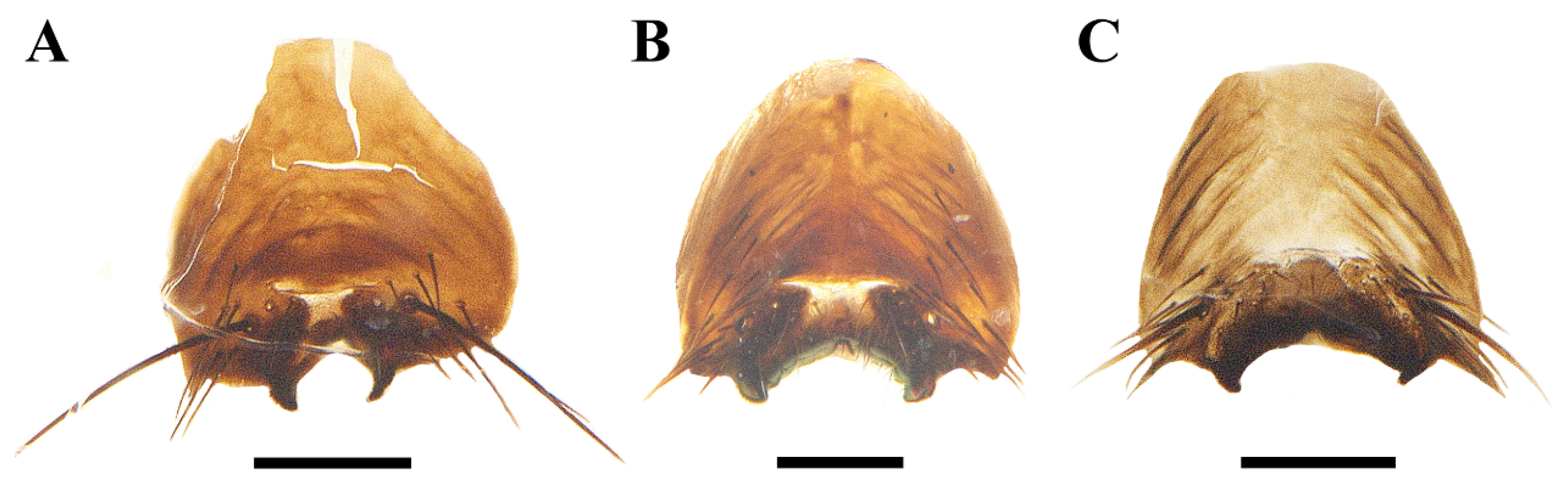 Insects 13 01096 g005