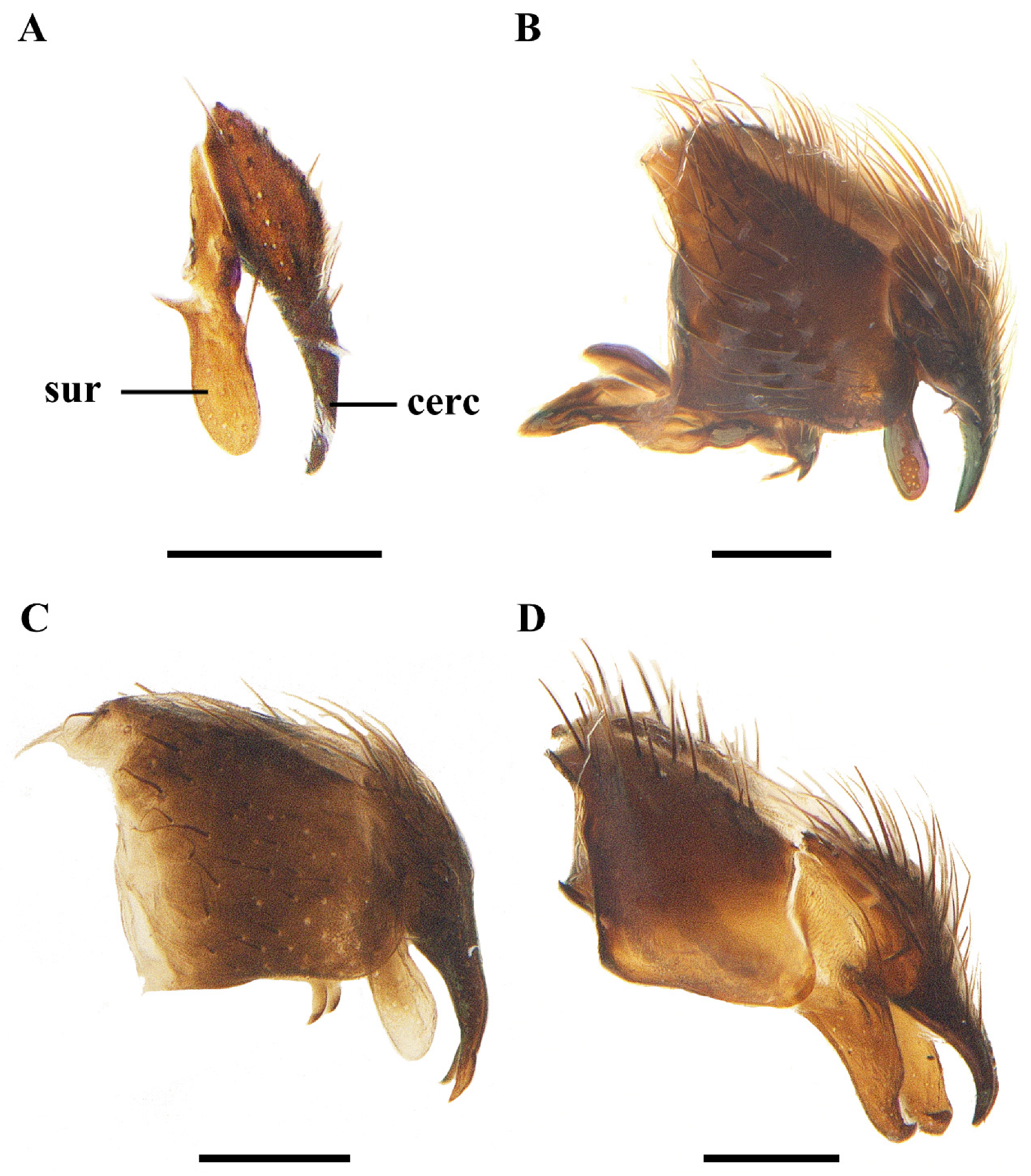 Insects 13 01096 g006
