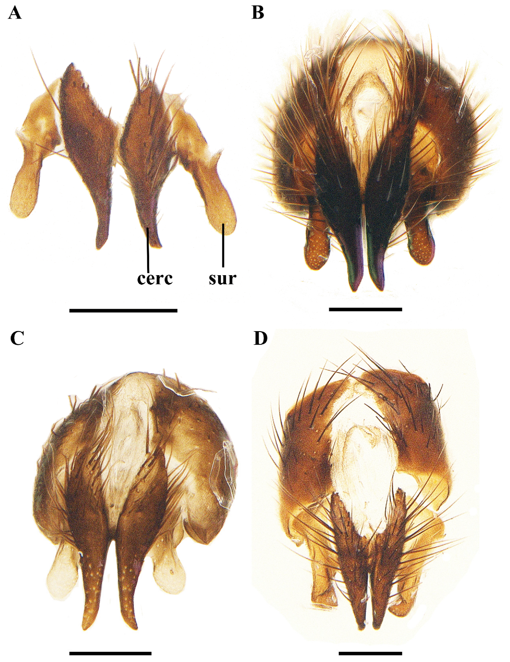 Insects 13 01096 g007