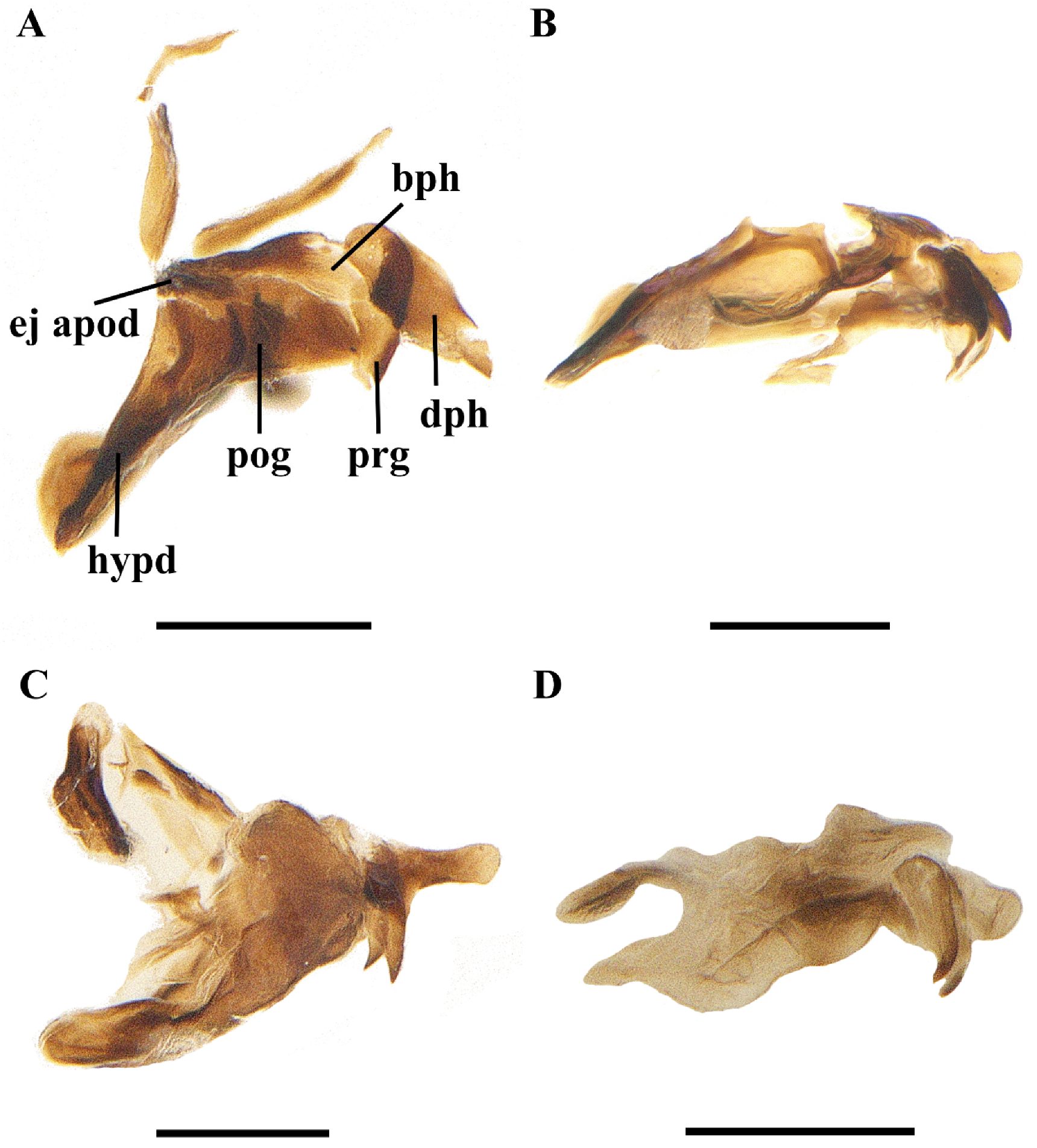 Insects 13 01096 g008