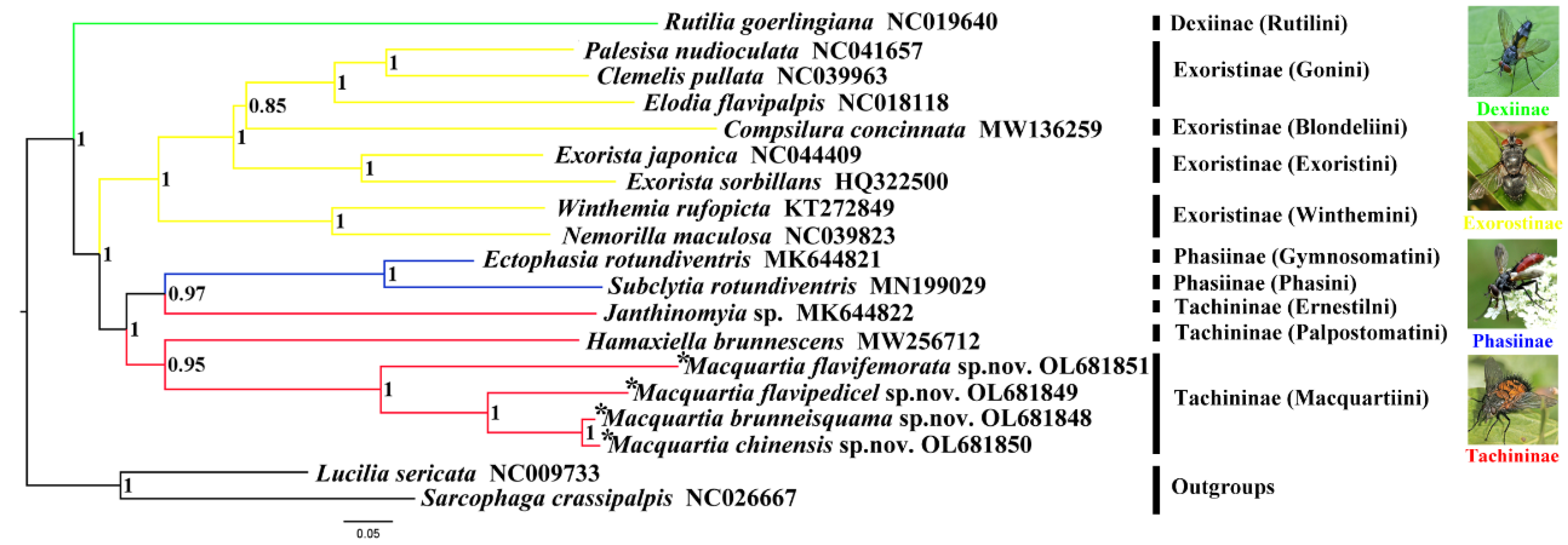 Insects 13 01096 g011