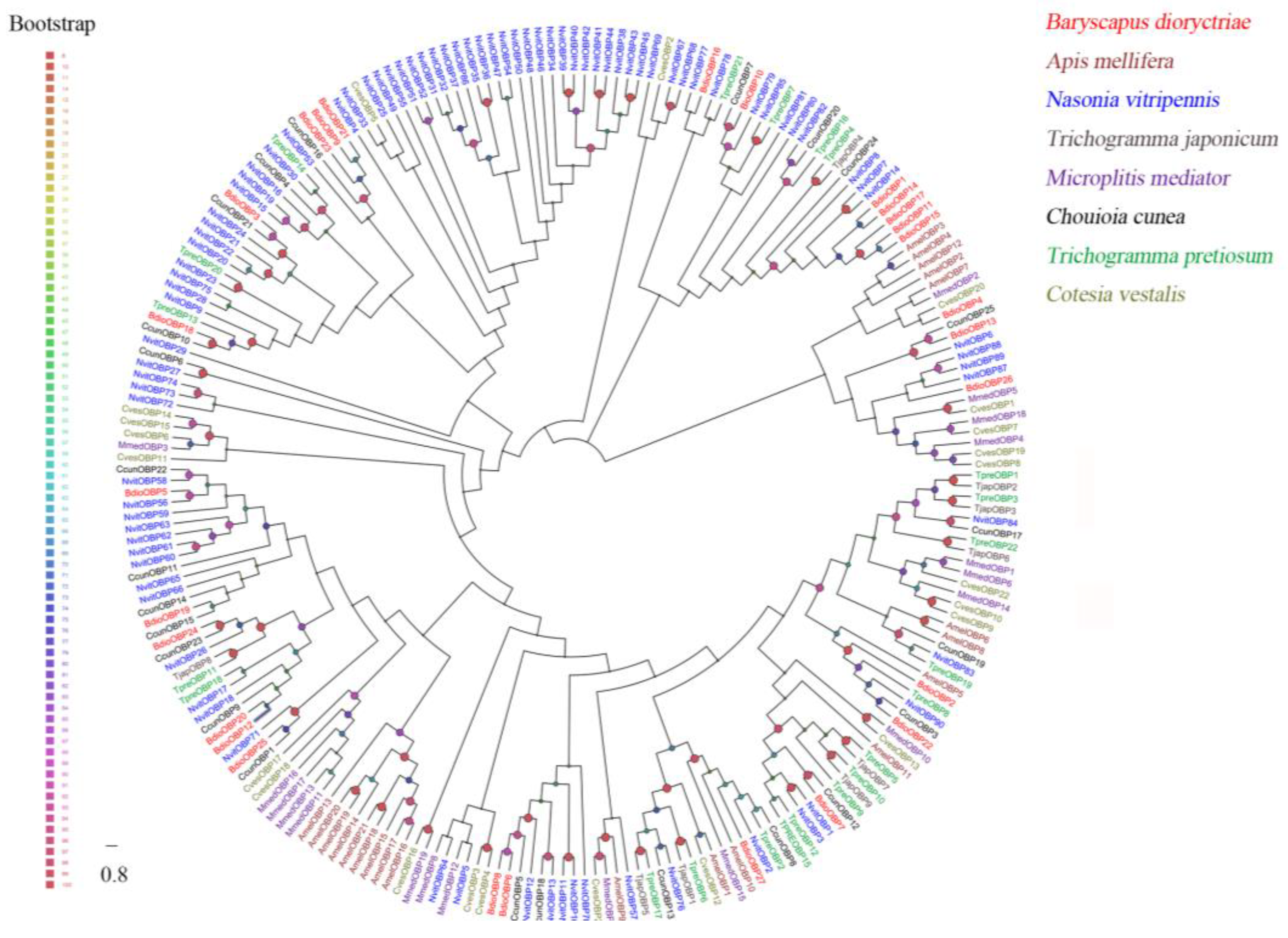 Insects 13 01098 g001