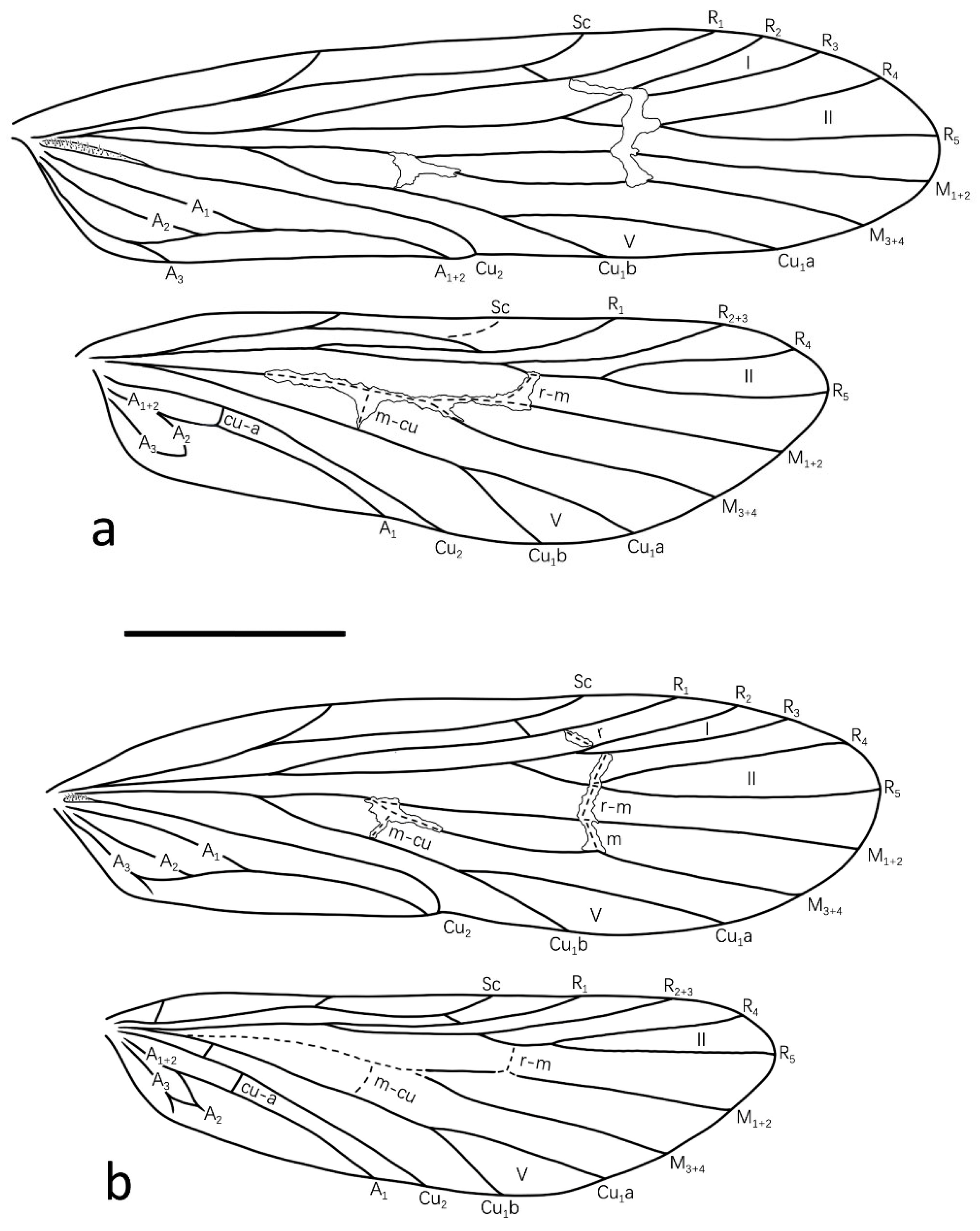 Insects 13 01101 g001