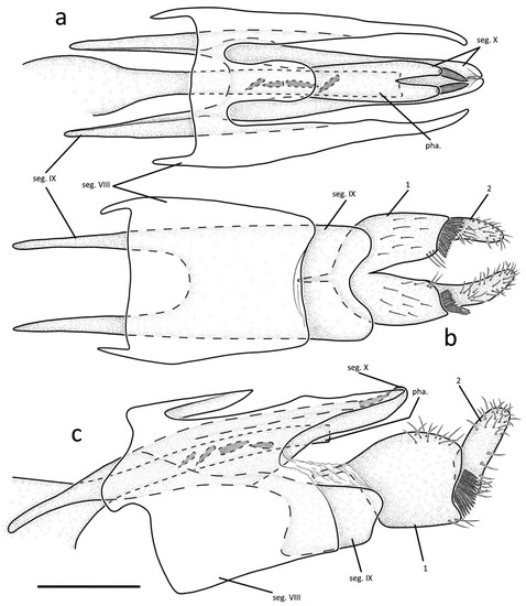Insects 13 01101 g002
