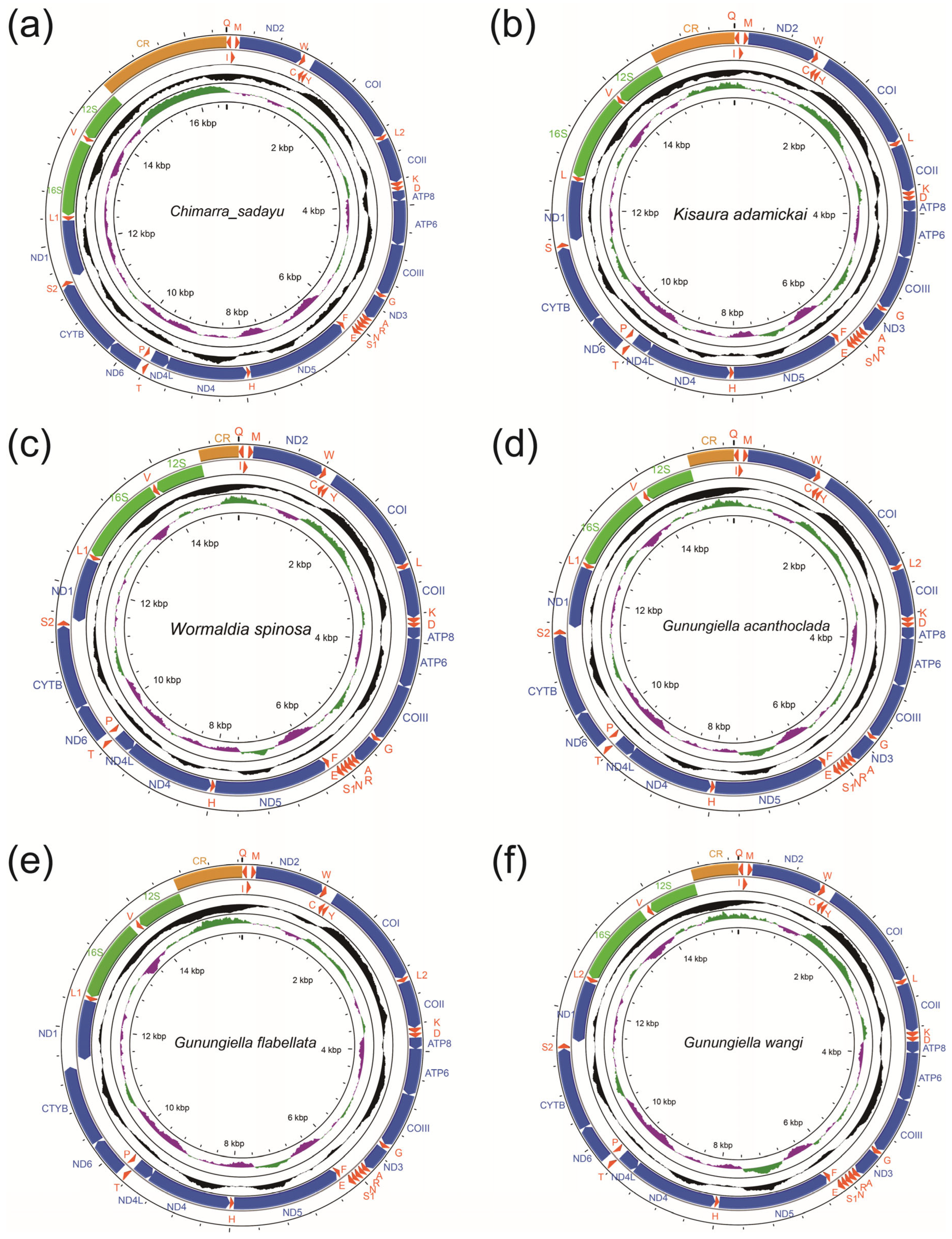 Insects 13 01101 g004