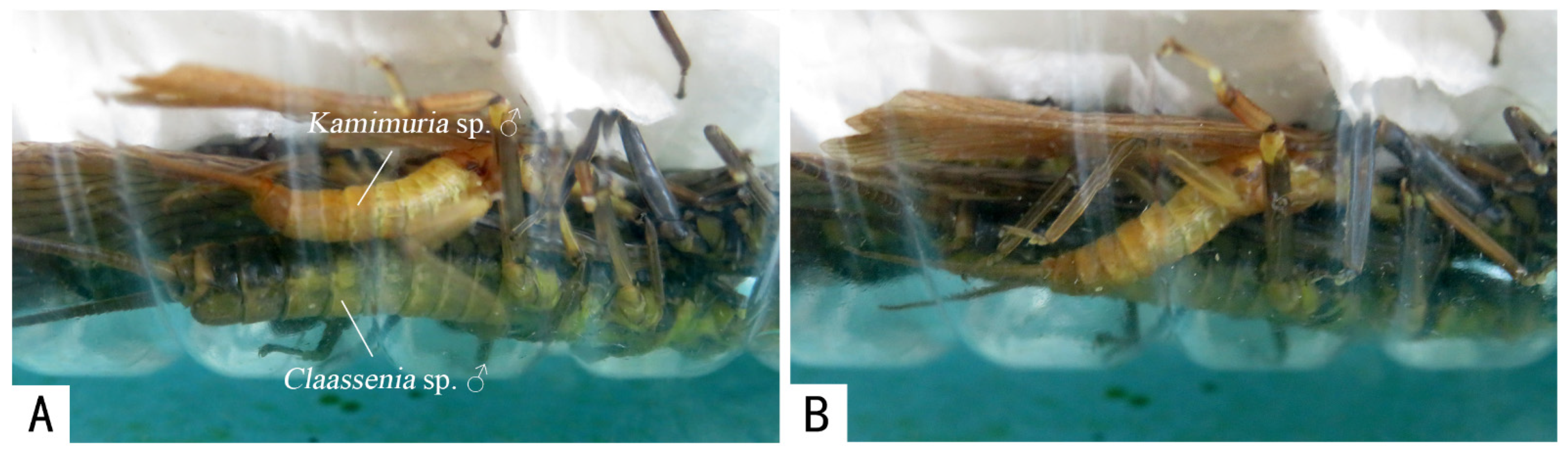 Insects 13 01102 g002