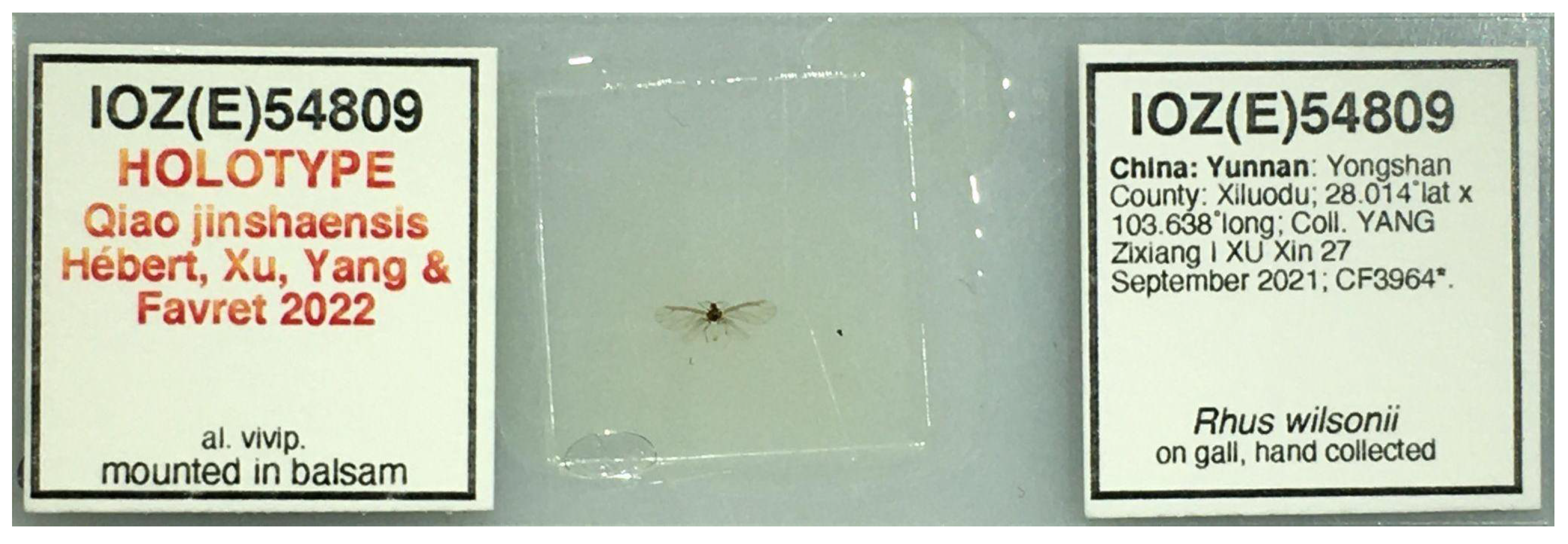 Insects 13 01104 g001